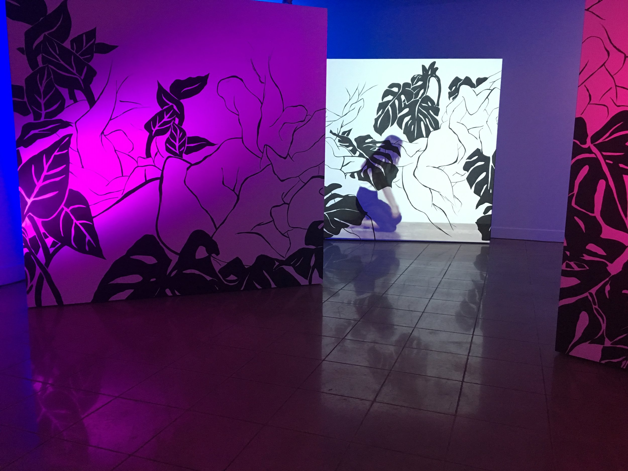 Installation View of "Afterlight"