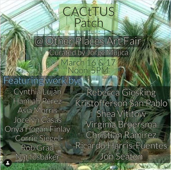 CACtTUS Patch at the Other Places Art Fair