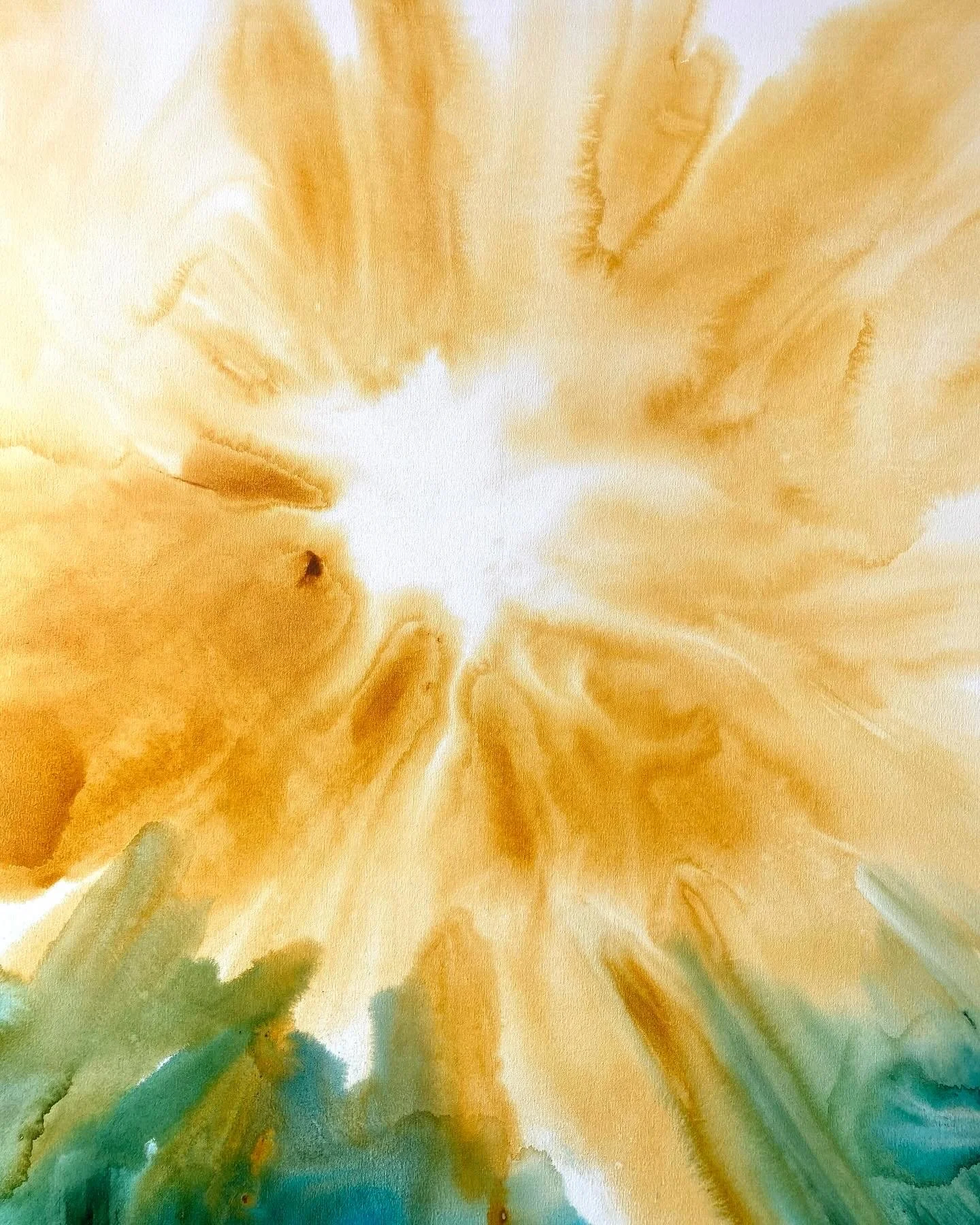 Sun Drenched: A Southern Californian's Bathing Practice