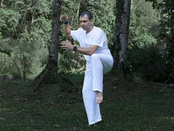 Tai-Chi-Brazil1b.jpg