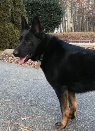 Athena, bought by Jenny J.