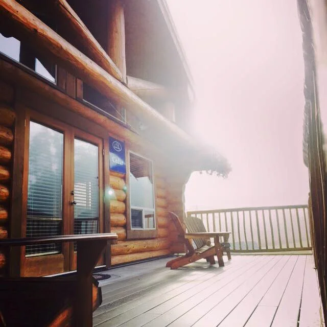 cedar in fog.jpg