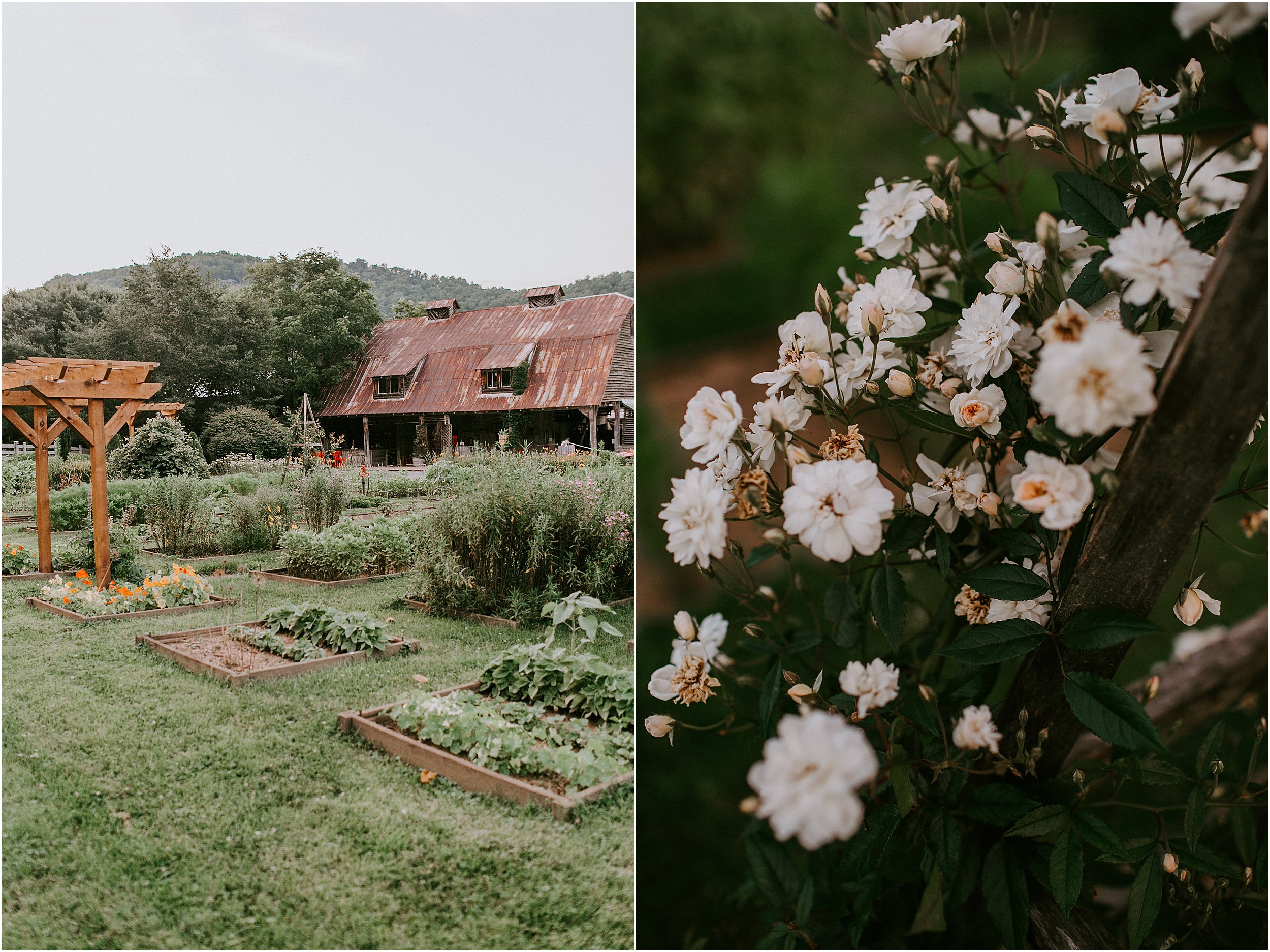 Mast-Farm-Inn-Mountain-Wedding_0074.jpg