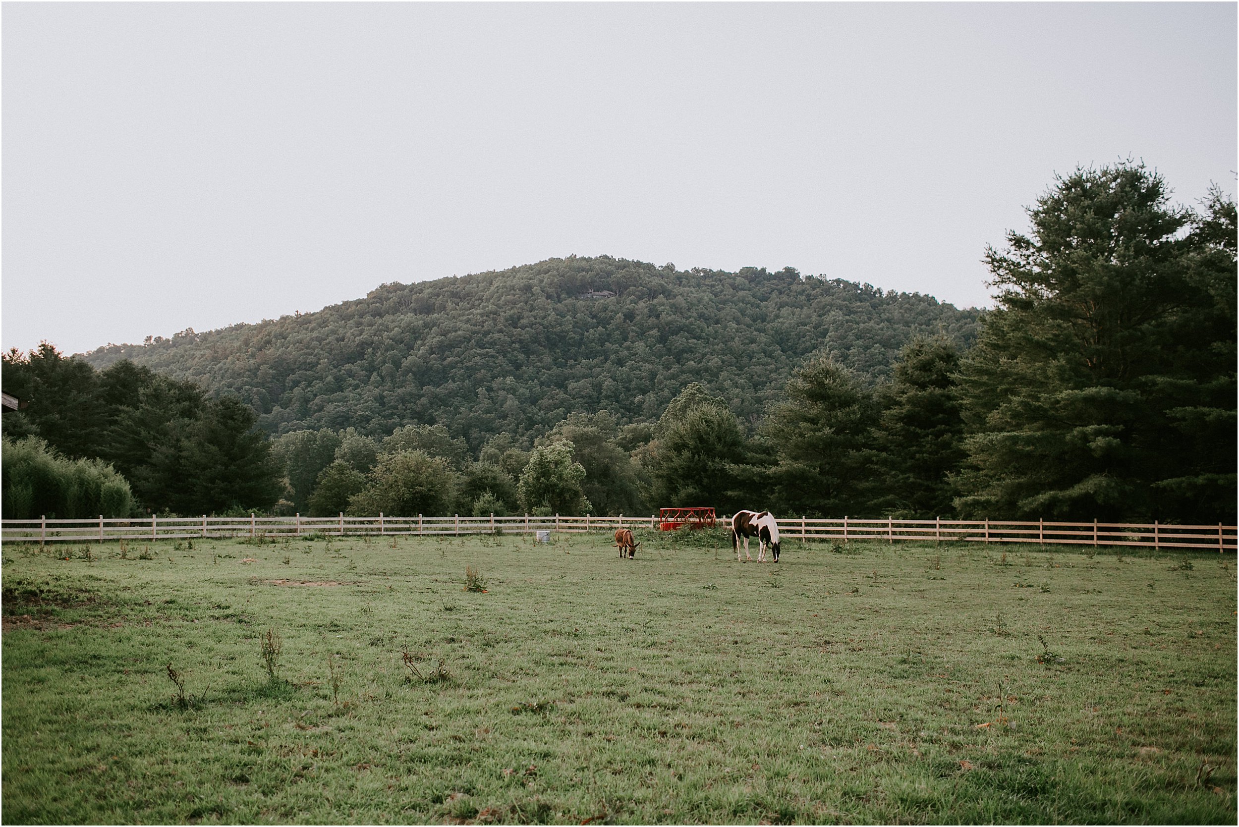 Mast-Farm-Inn-Mountain-Wedding_0076.jpg