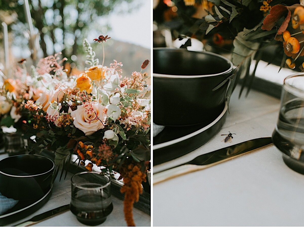 Boone Mountain Sunset Elopement