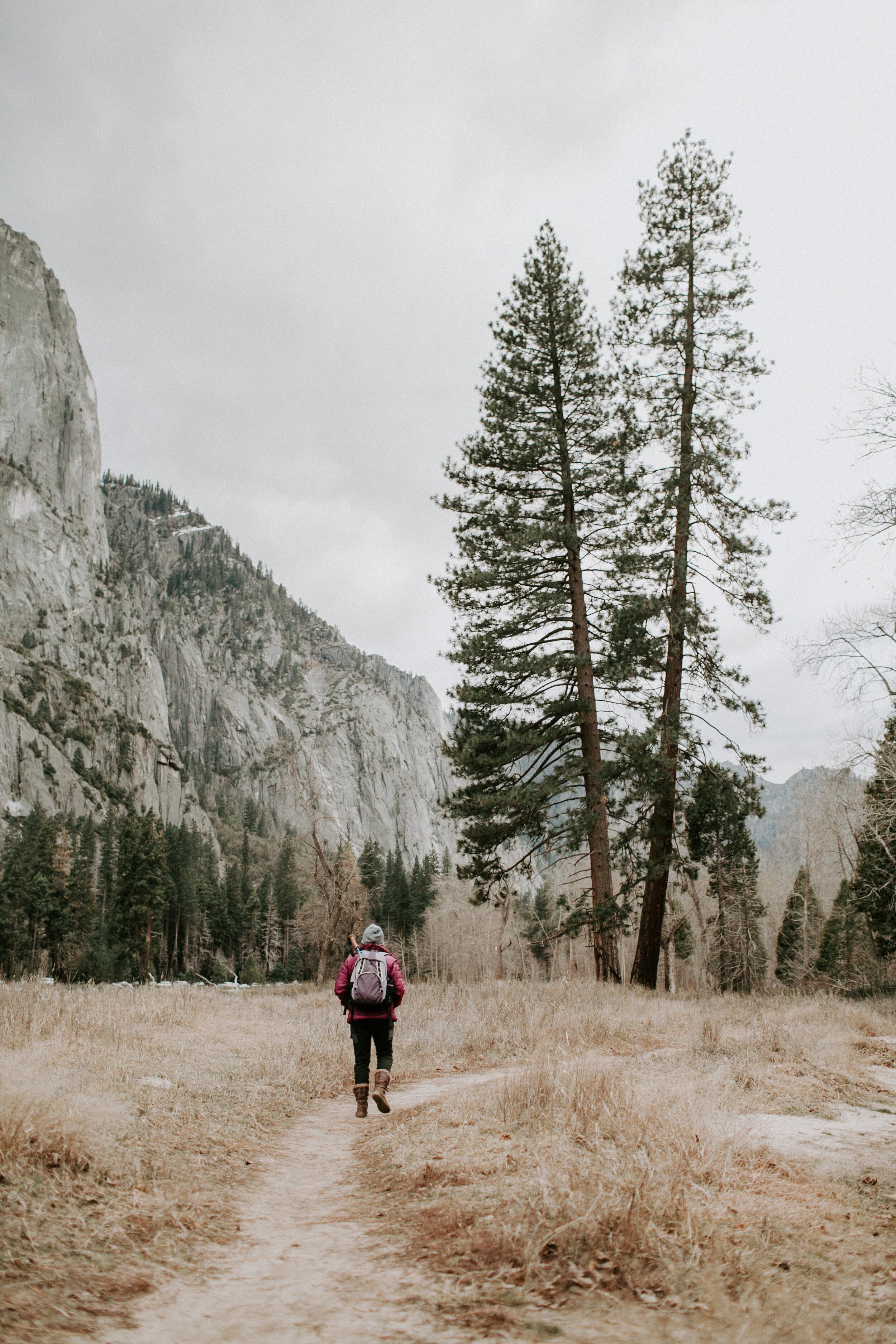  W lone woman with a backpack hikes through Yosemite Valley. 