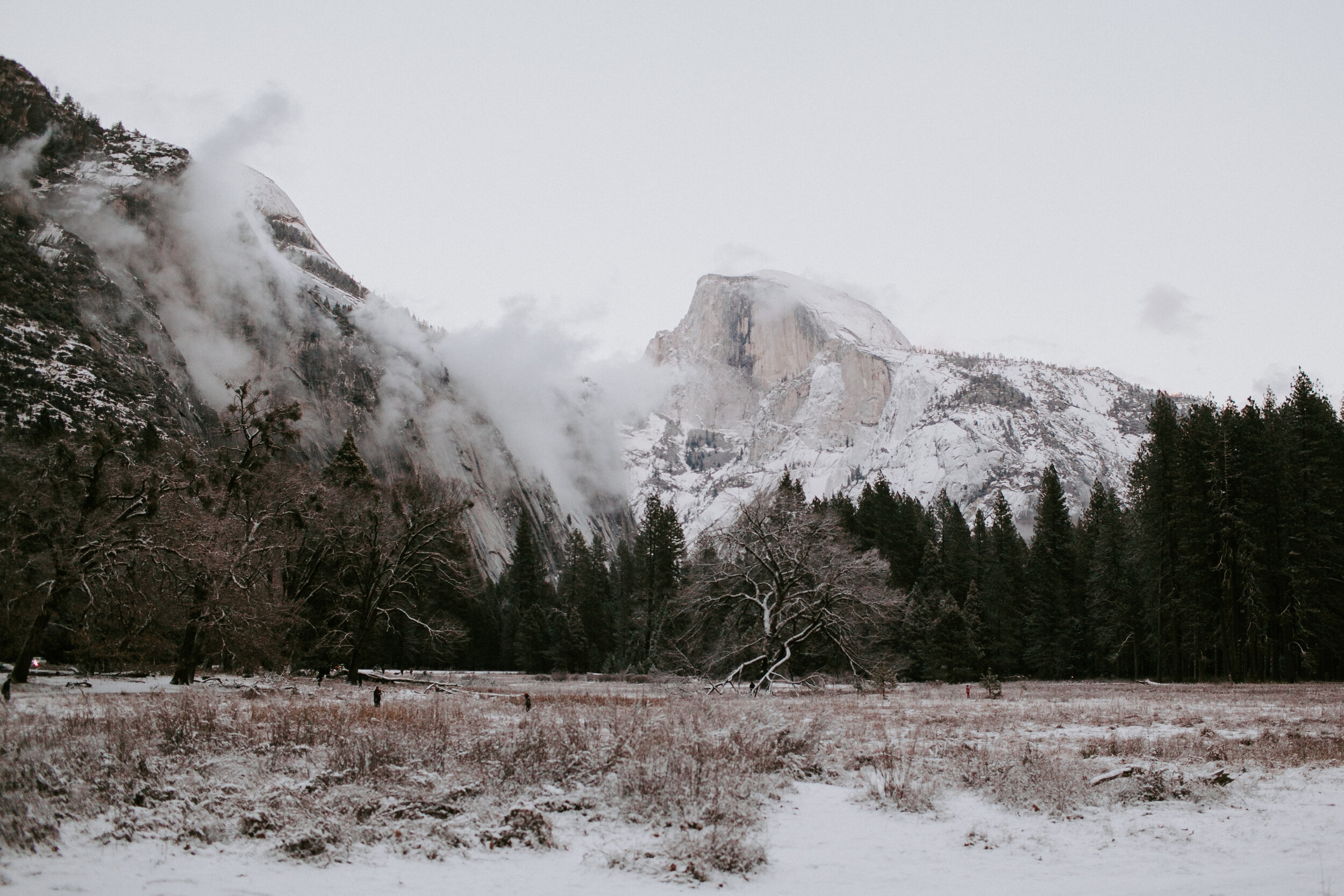  A snow dusted Half Dome is in the distance. 