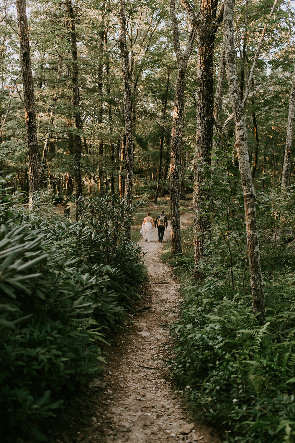 Bride and groom in the woods. 