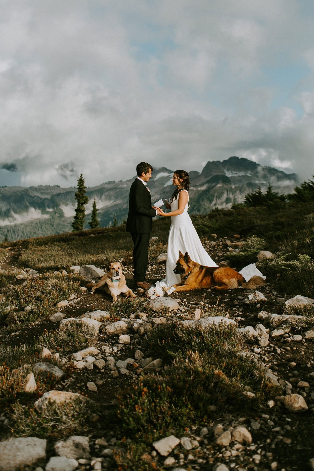 7 Ways to Incorporate your Dog in your Wedding