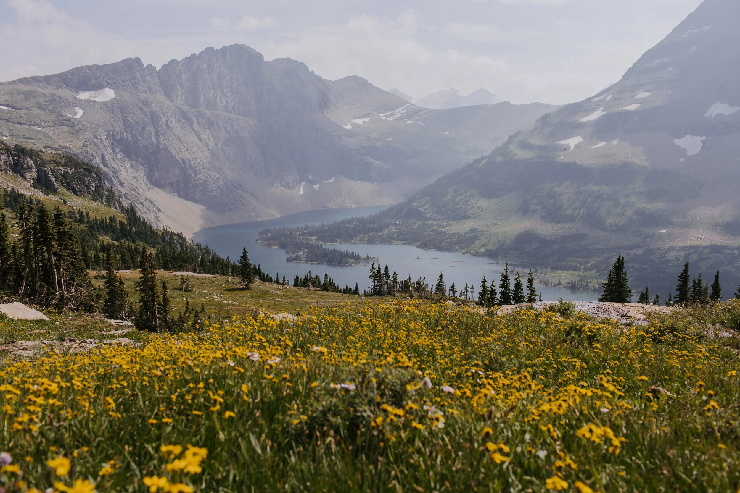 How to Plan Your Glacier National Park Elopement