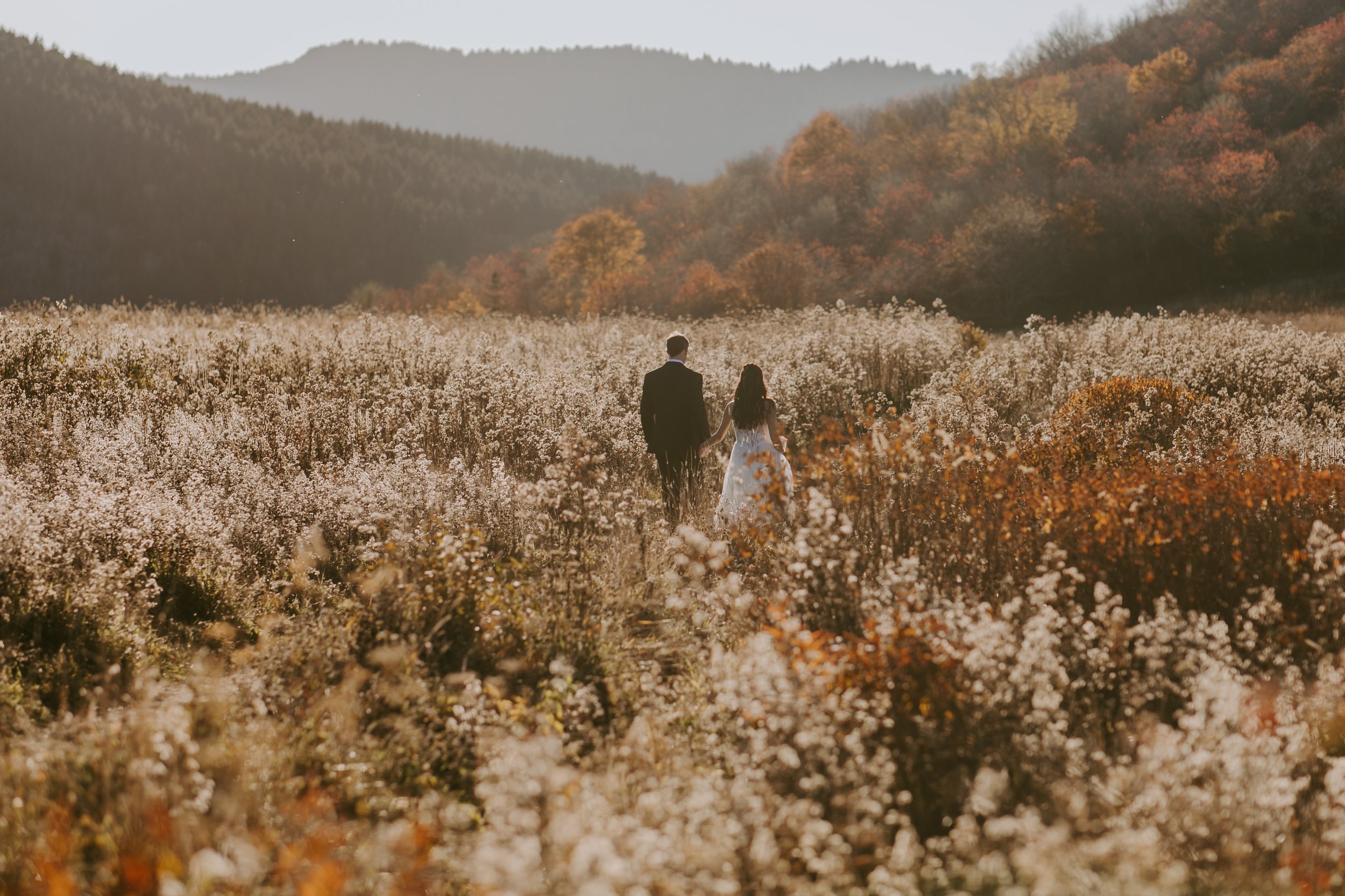 A bride and groom in wedding clothes walk holding hands through a meadow glowing orange in the sun light.