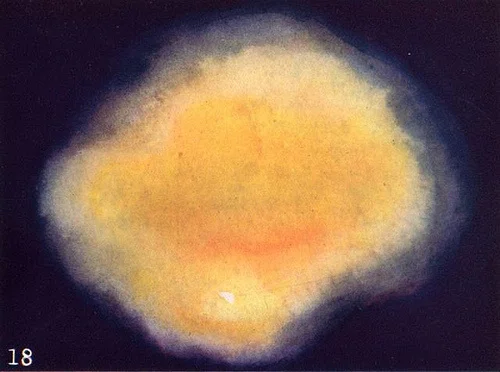 annie_besant_charles_leadbetter_thought-forms_02-1_o.jpg
