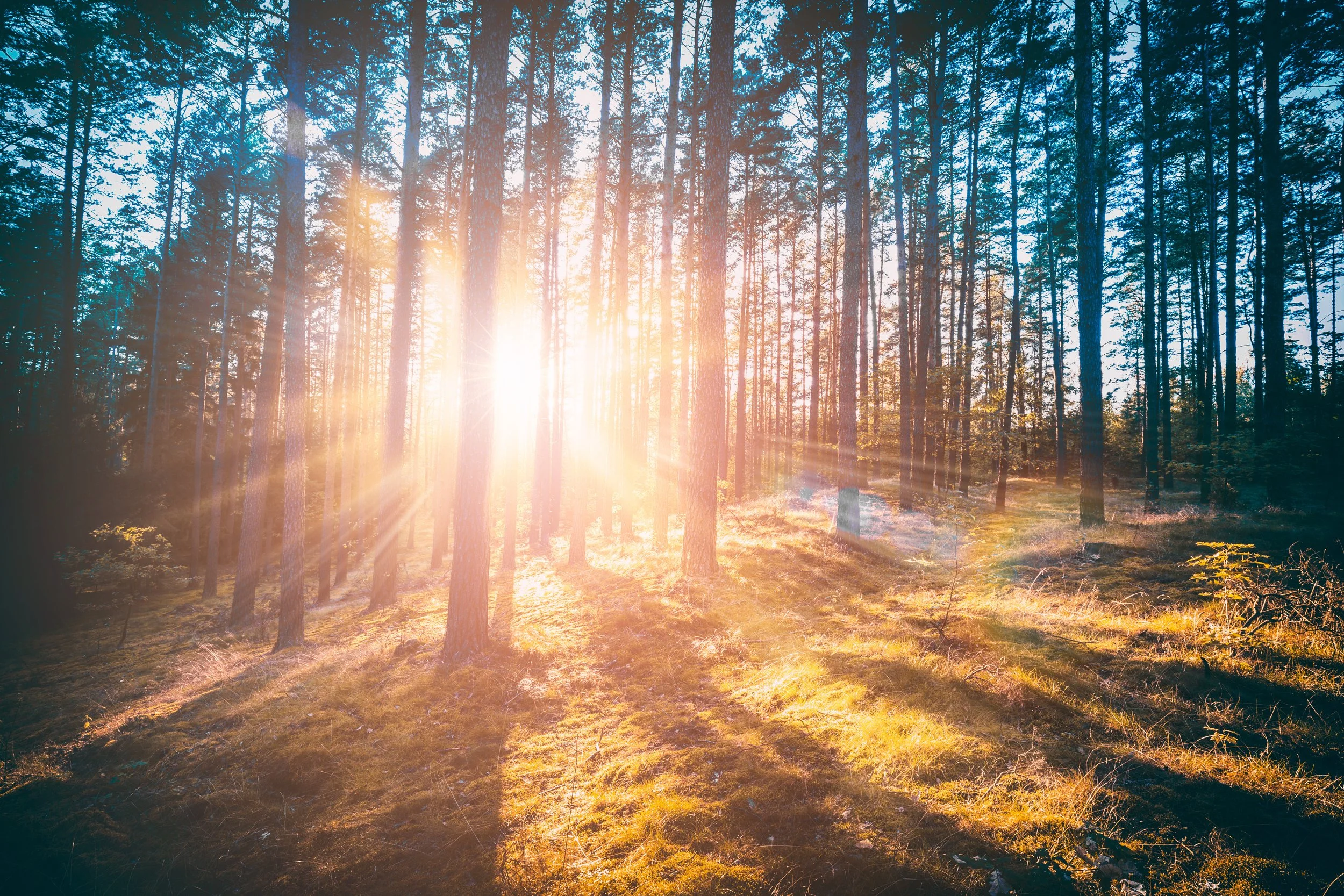 Spiritual Perspective 