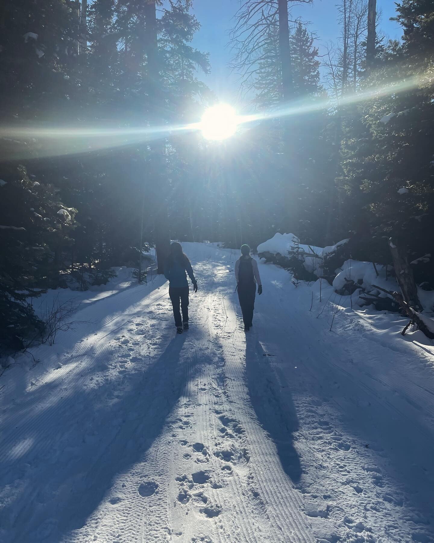 &ldquo;In every try walk with nature one receives more than she seeks.&rdquo; &mdash;John Muir
The weather is warmer than usual in the Rocky Mountains this season, and we got to enjoy the snow and the sunlight yesterday on a hike in Babbish Gulch.