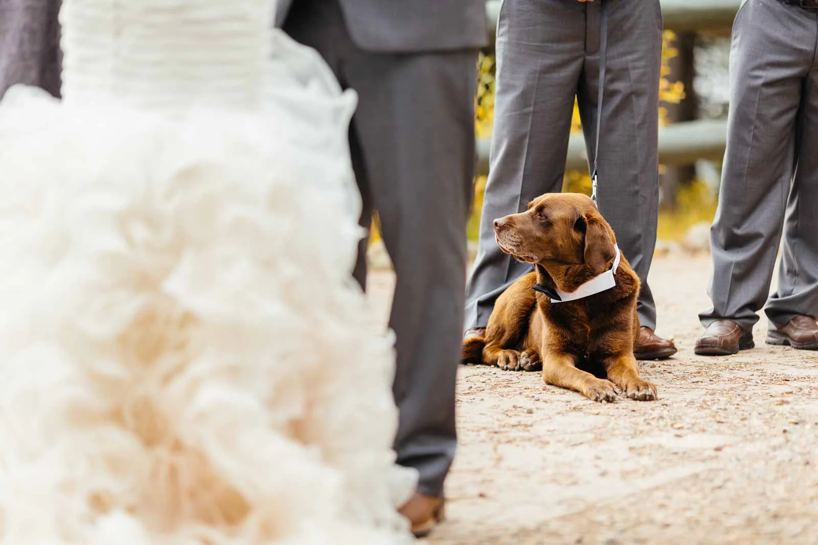 150919-Amber+Brad-Maligne-Wedding-288.jpg