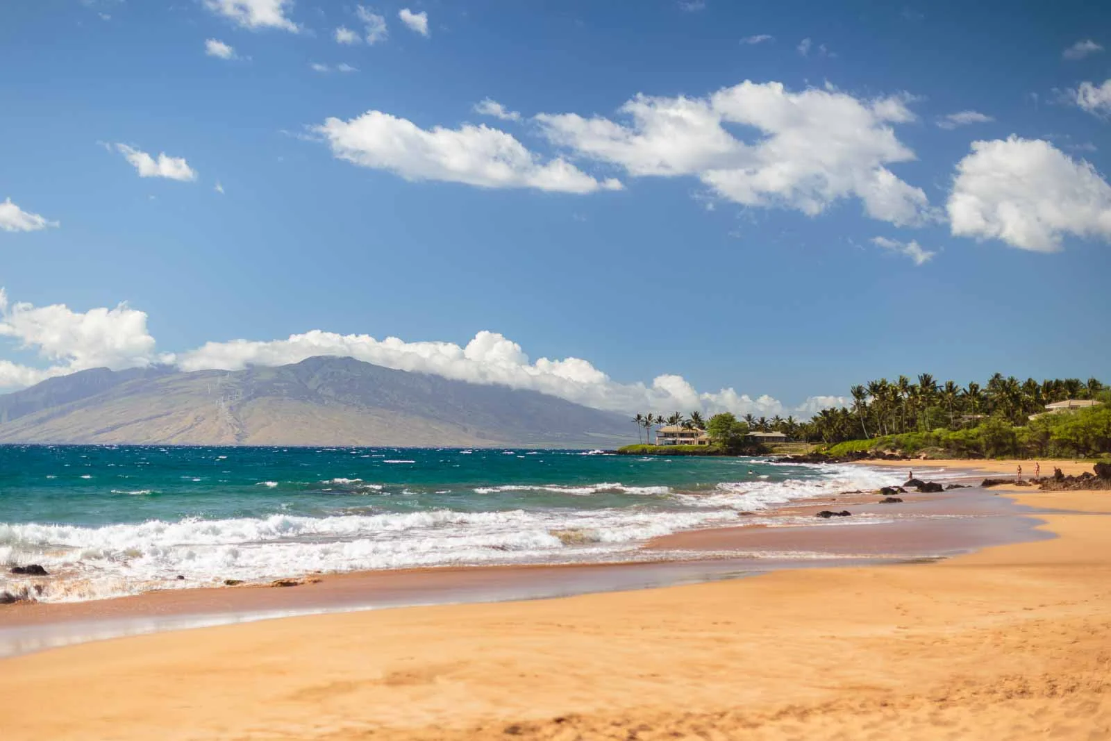 150924-Dan+Sarah-Maui-017.jpg