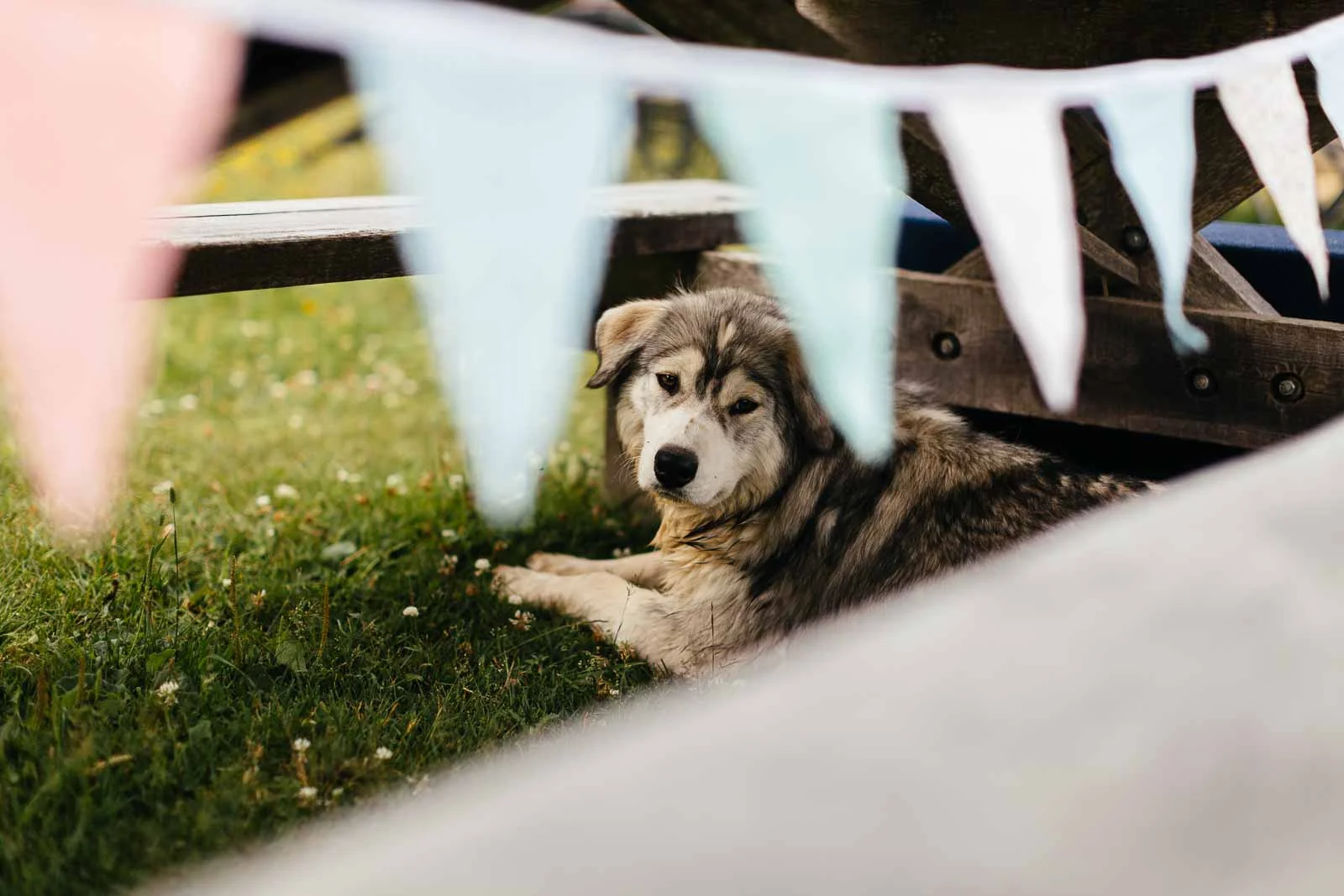 150711-Julia+AJ-BeaverfootWedding-0510.jpg