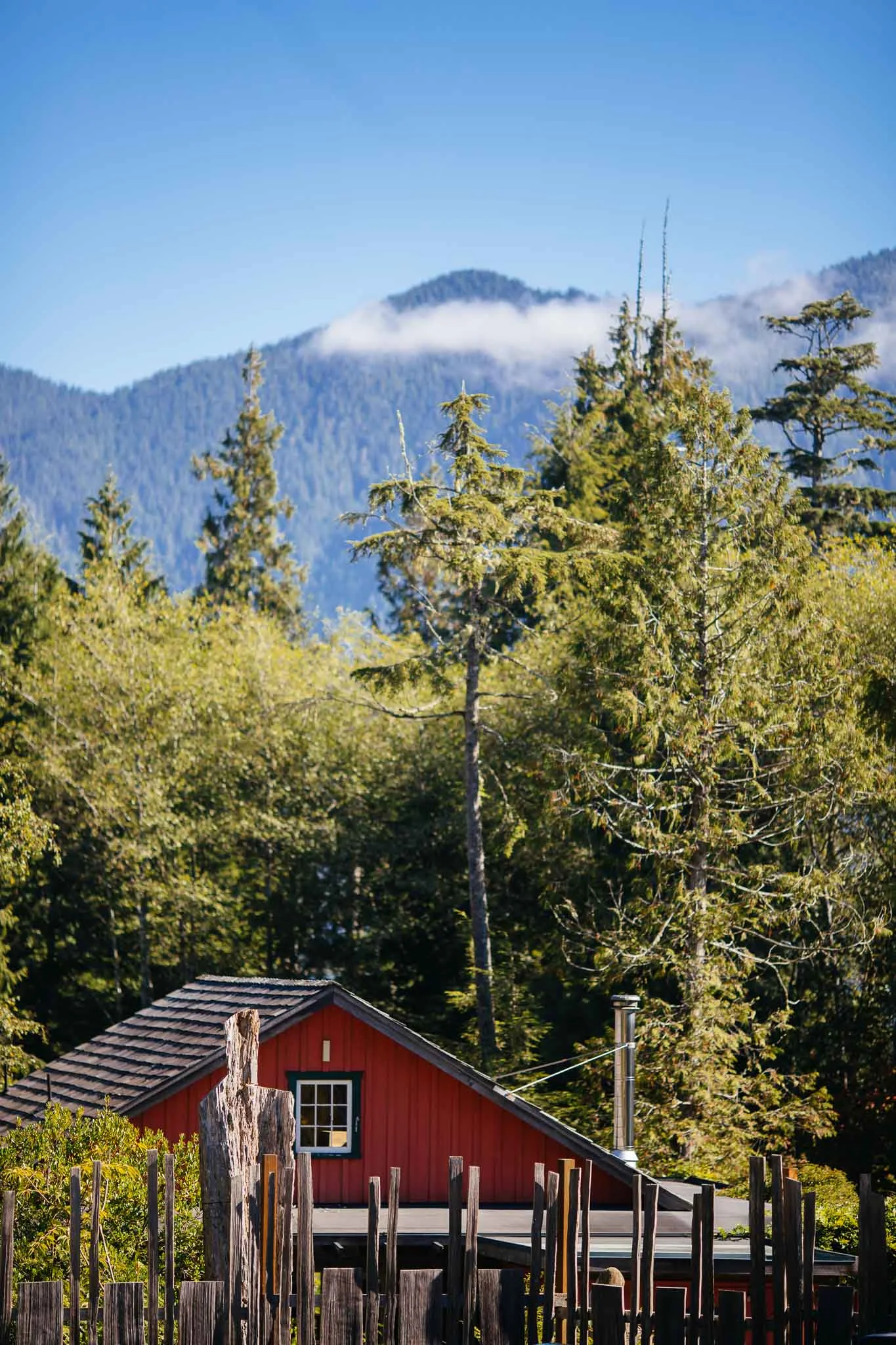 tofino-001.jpg