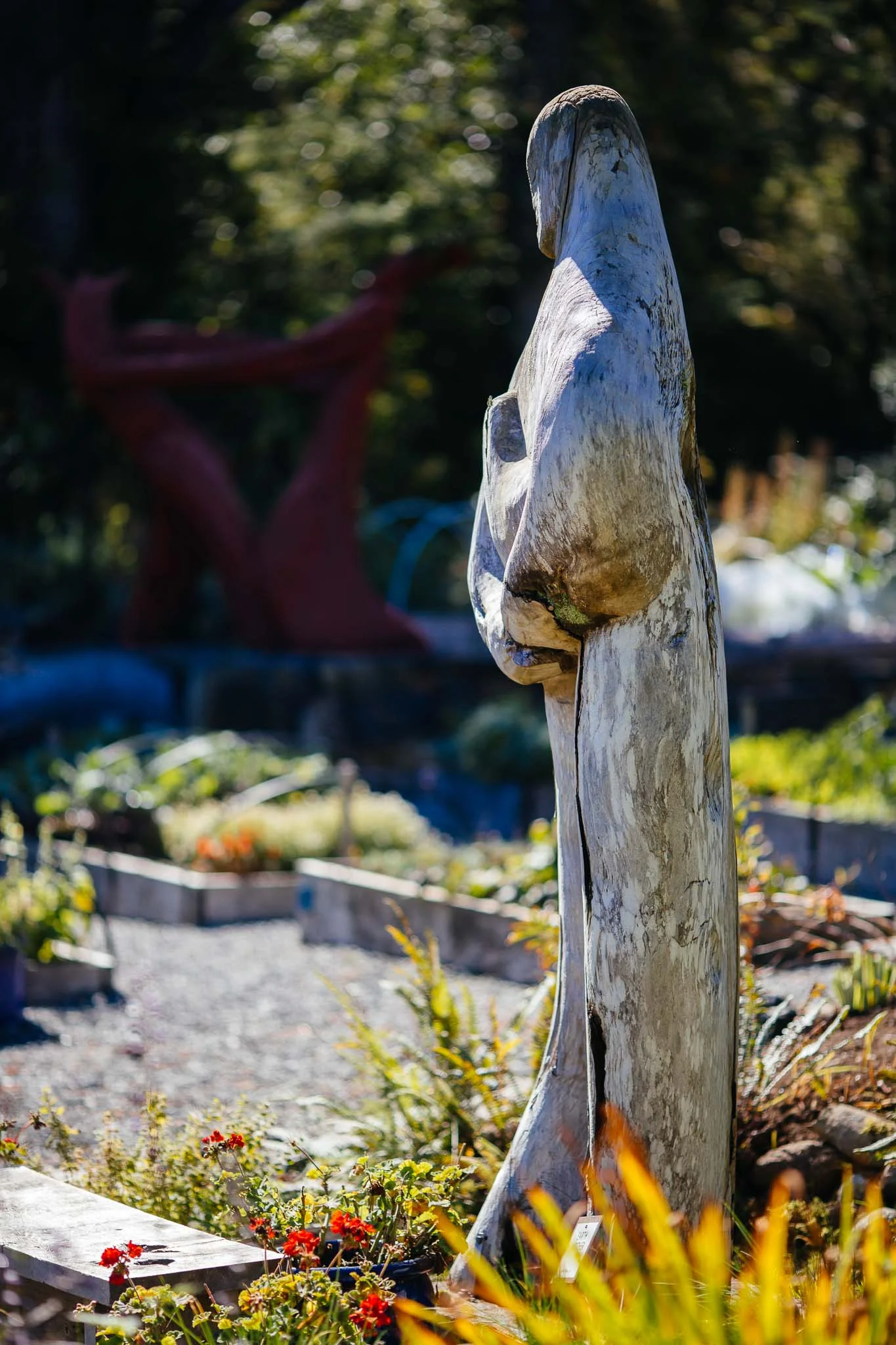 tofino-002.jpg