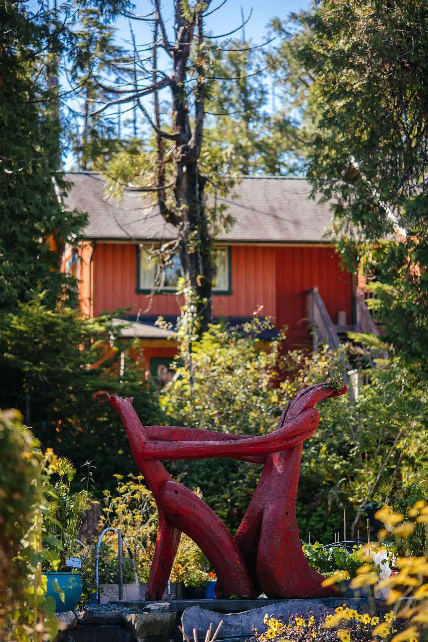 tofino-003.jpg