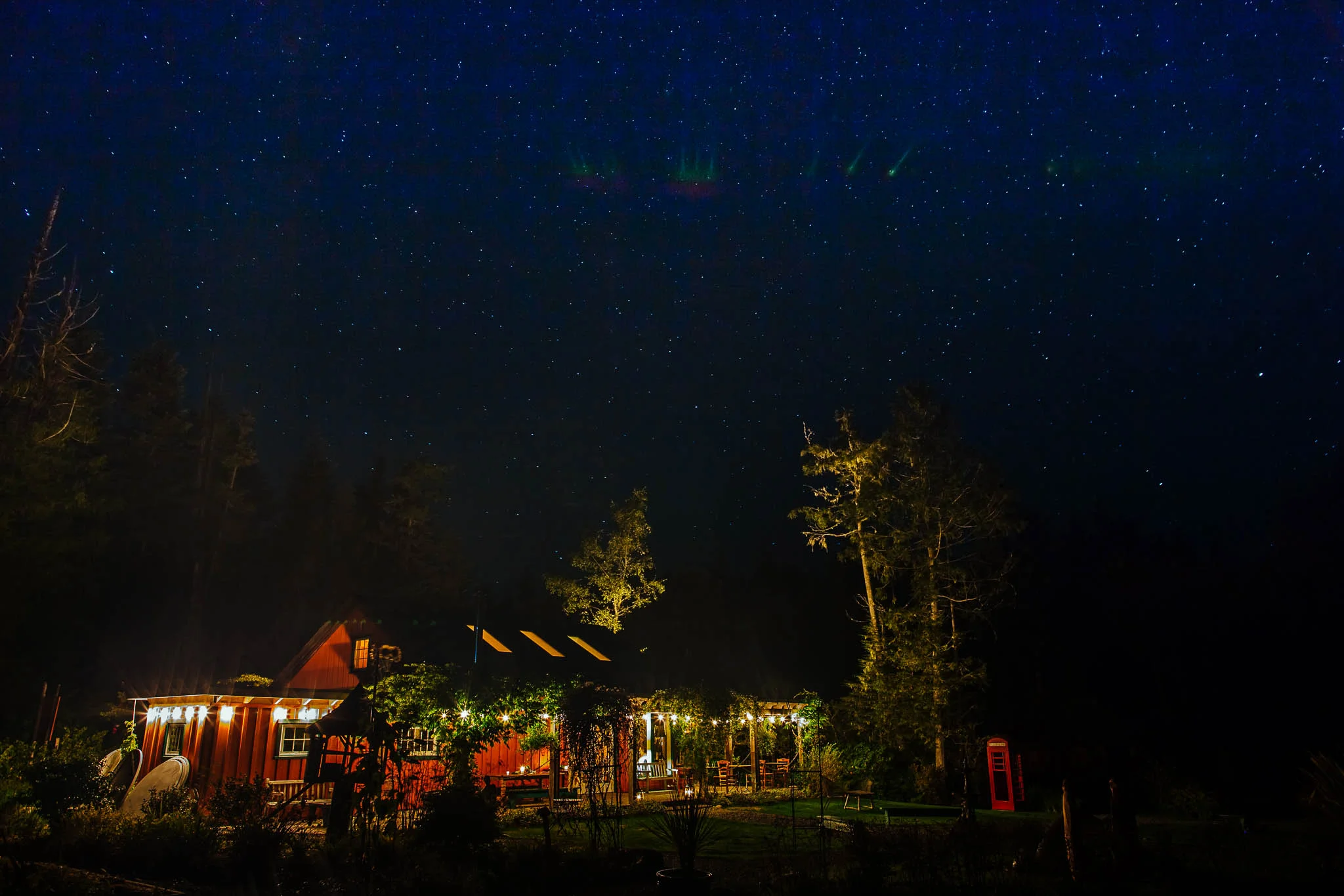 tofino-086.jpg