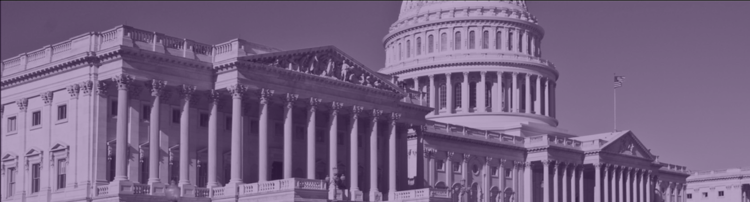 Washington_DC_Capitol_Hill_Banner.png