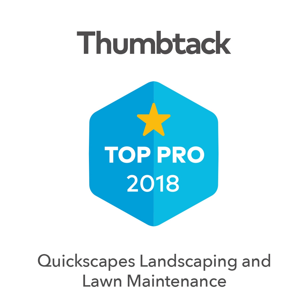 Top-Pro-Badge.jpg