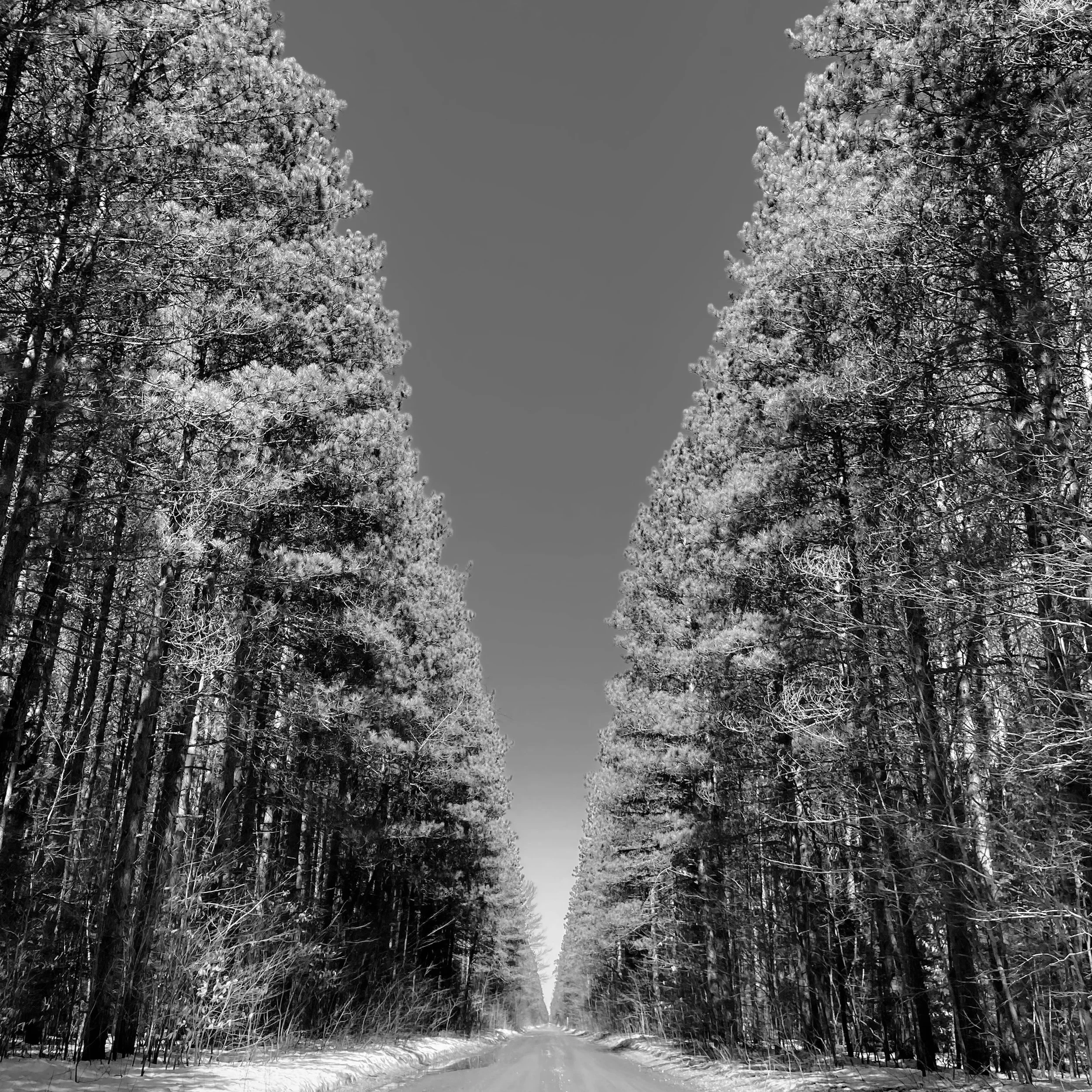 "Mountain" now streaming everywhere