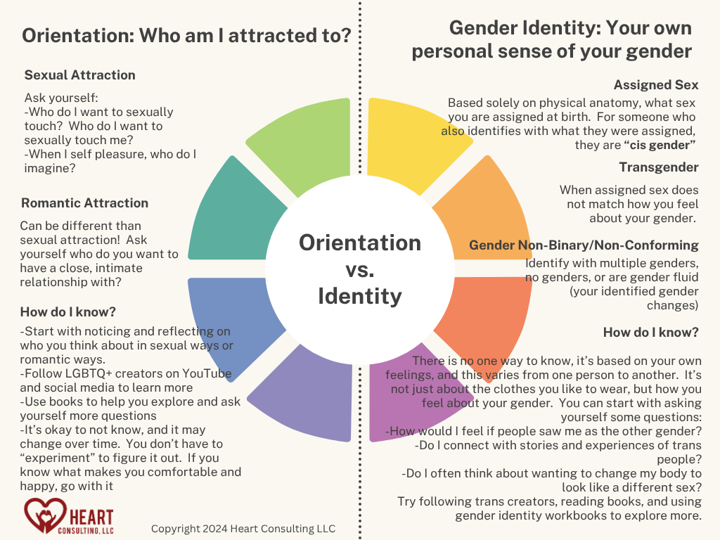 Gender Identity vs Sexual Orientation Info Sheet