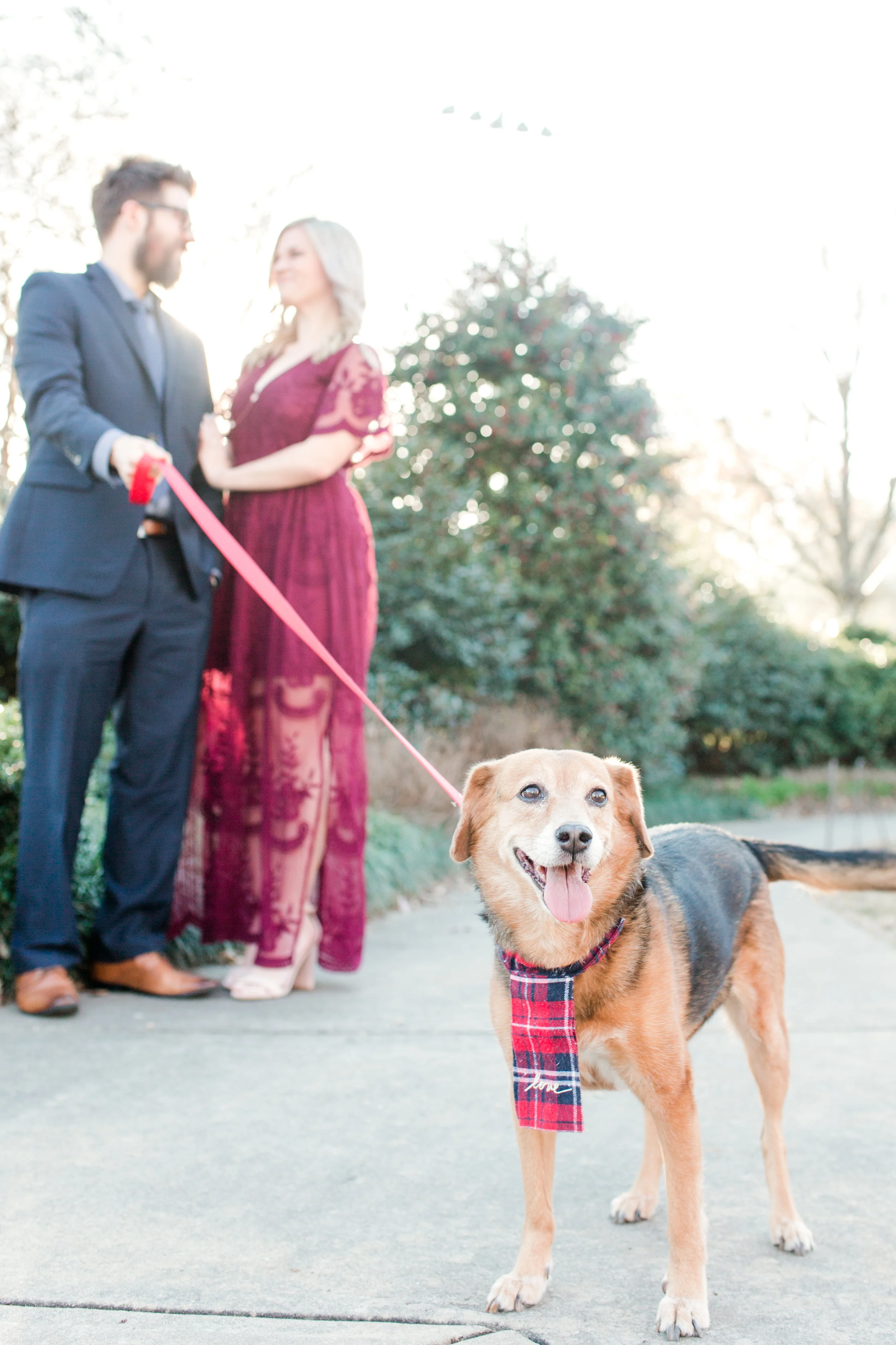 Meaghan_Josh_Engagement-33.jpg