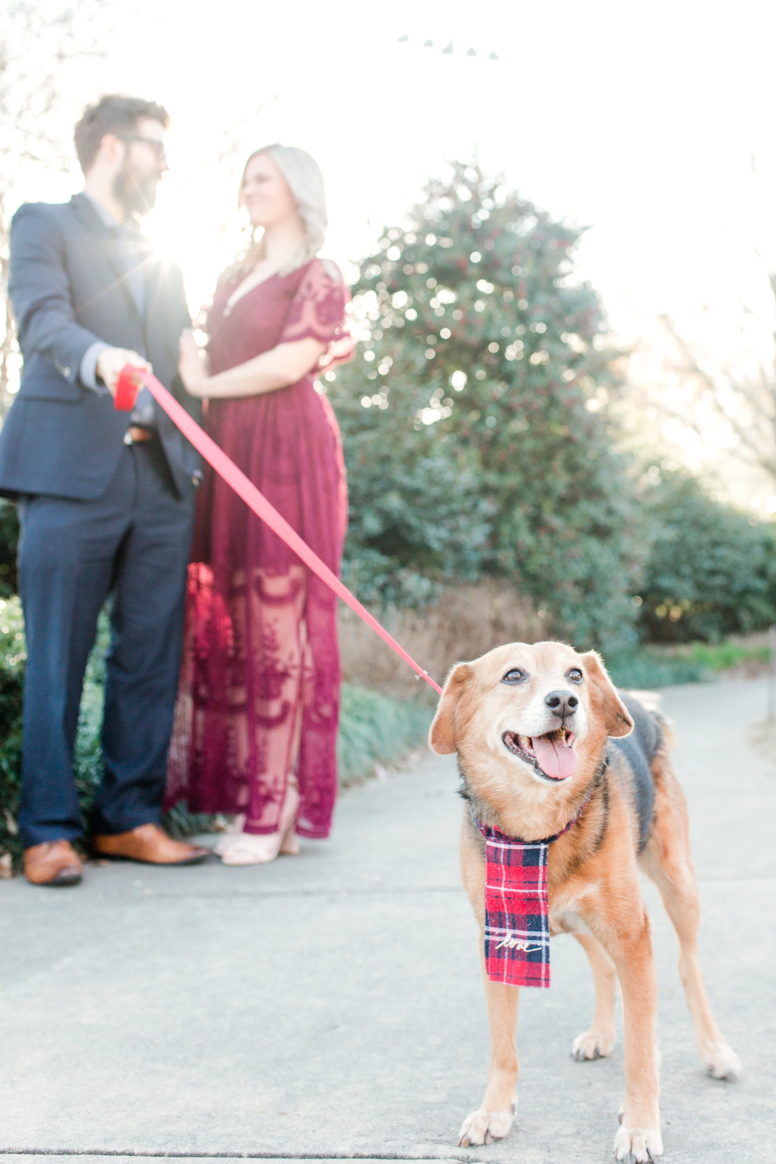 Meaghan_Josh_Engagement-34.jpg