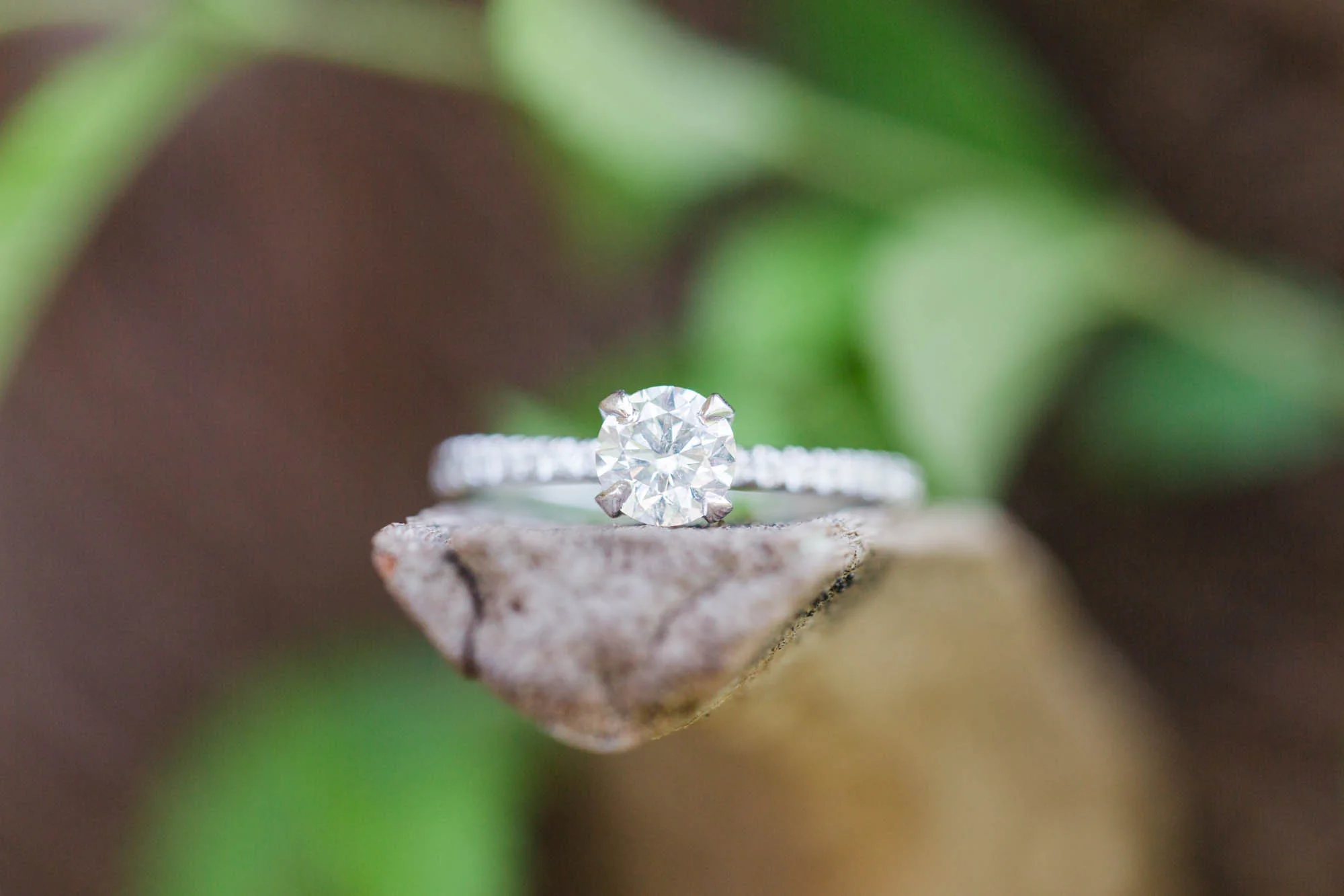Amanda_Jerrill_engagement_website-99.jpg