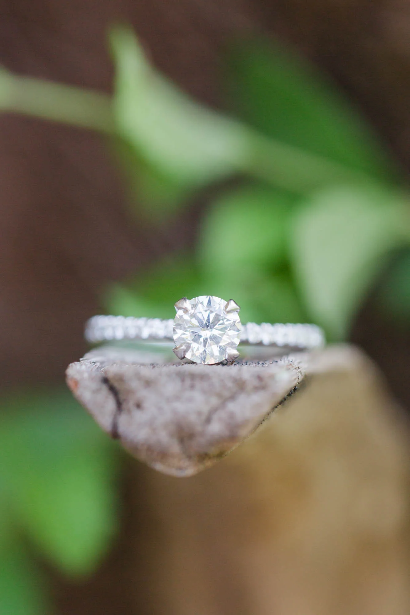 Amanda_Jerrill_engagement_website-100.jpg