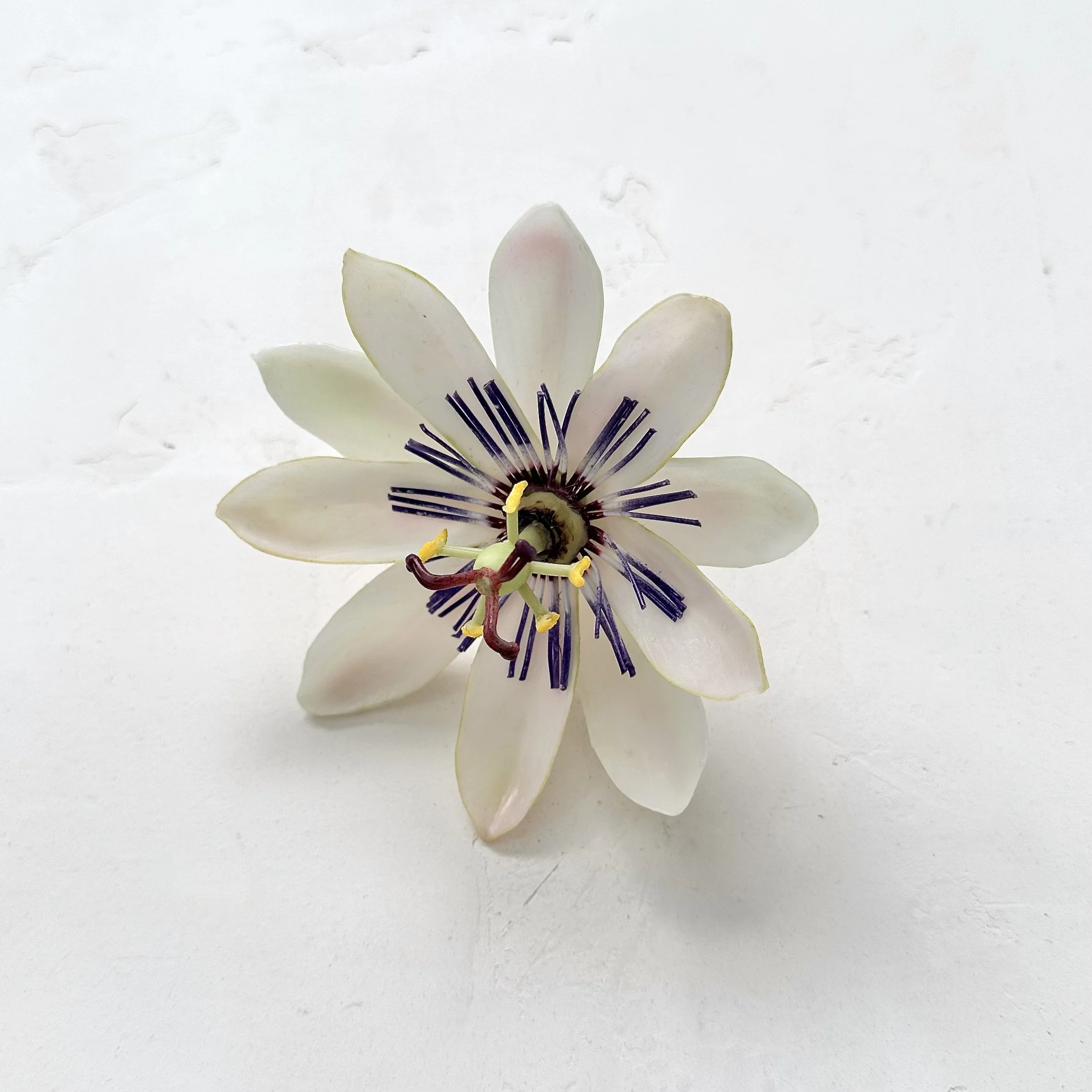 Passion Flower | Faux