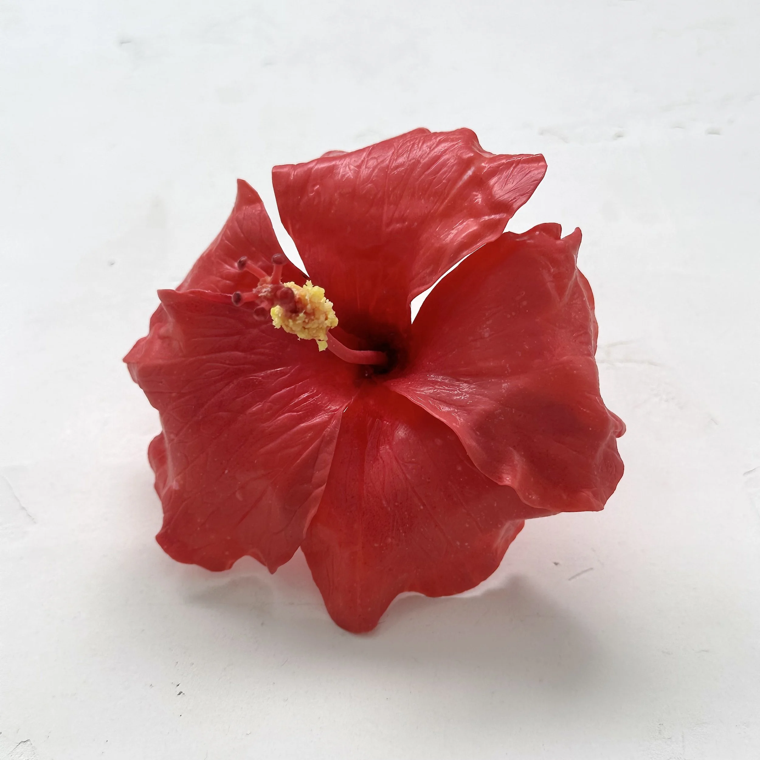 Hibiscus Flower - Red | Faux
