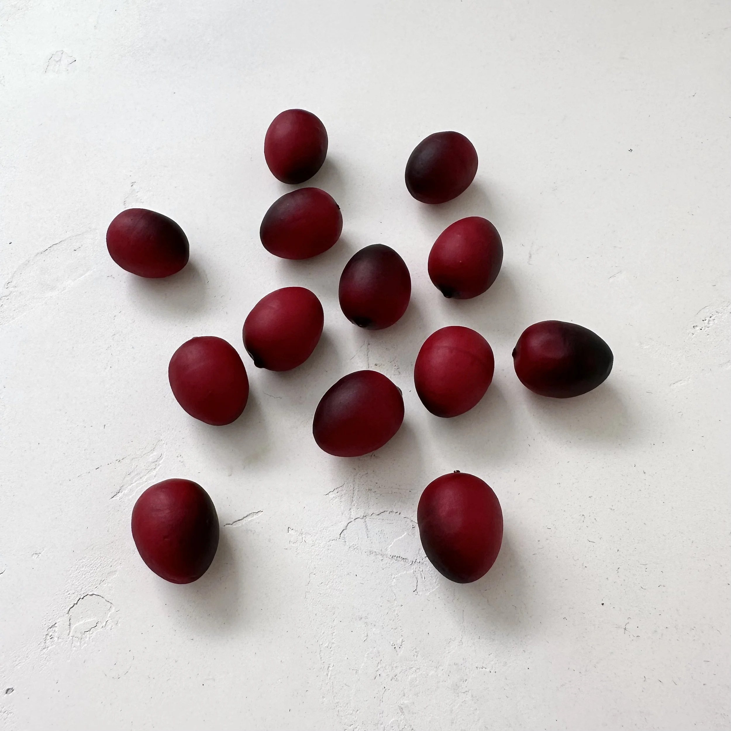 Cranberries | Faux