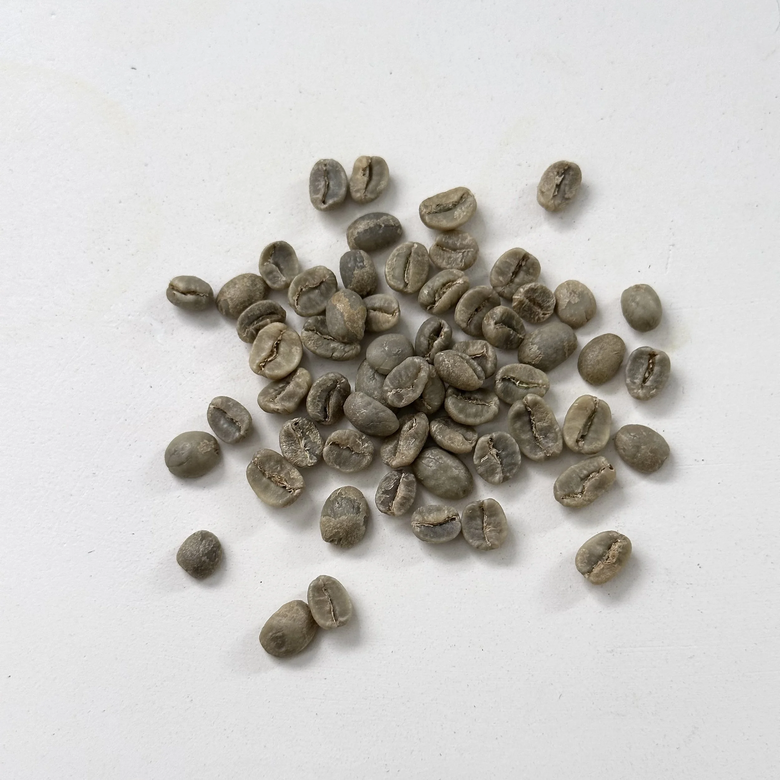 Coffee Beans - Raw