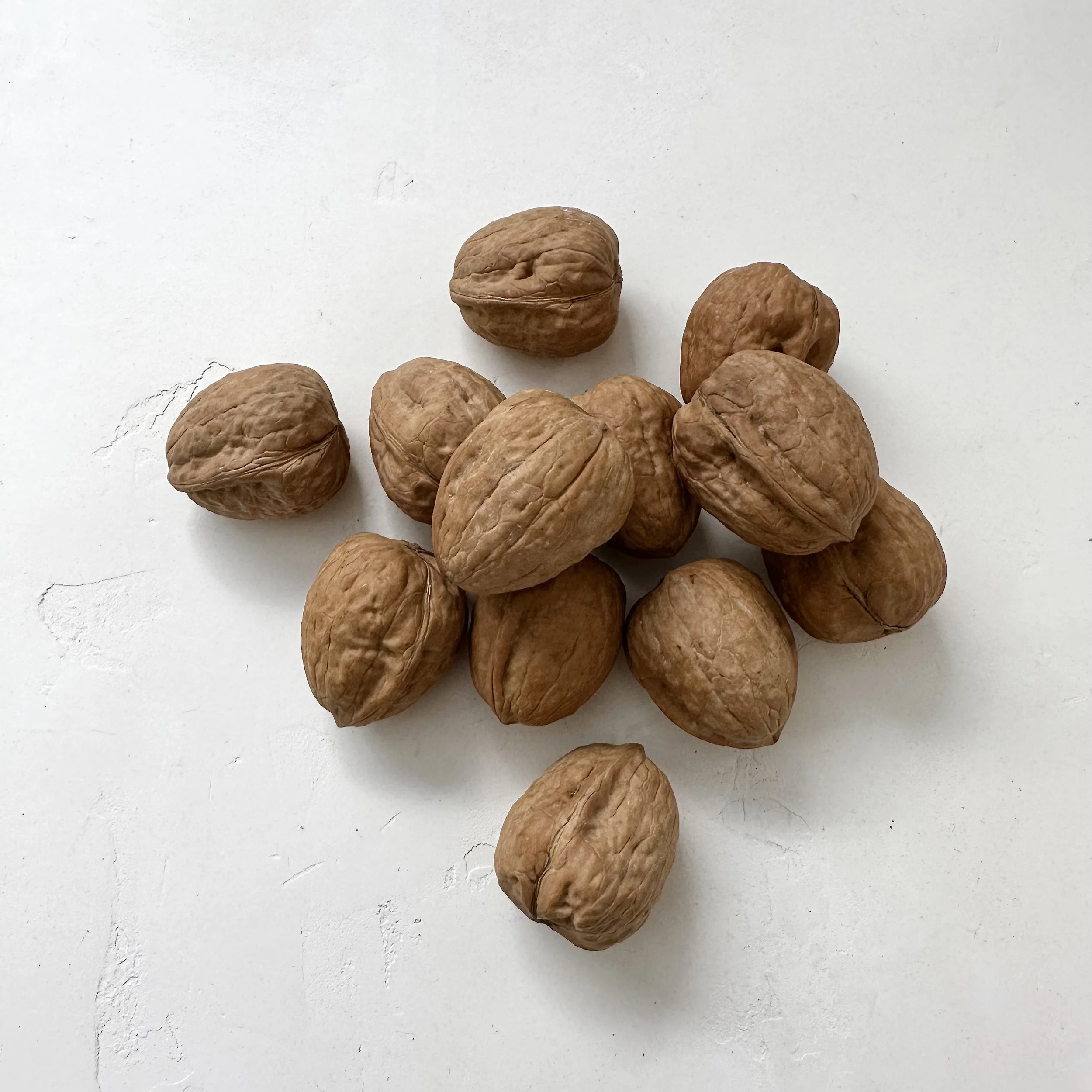 Walnuts in Shell