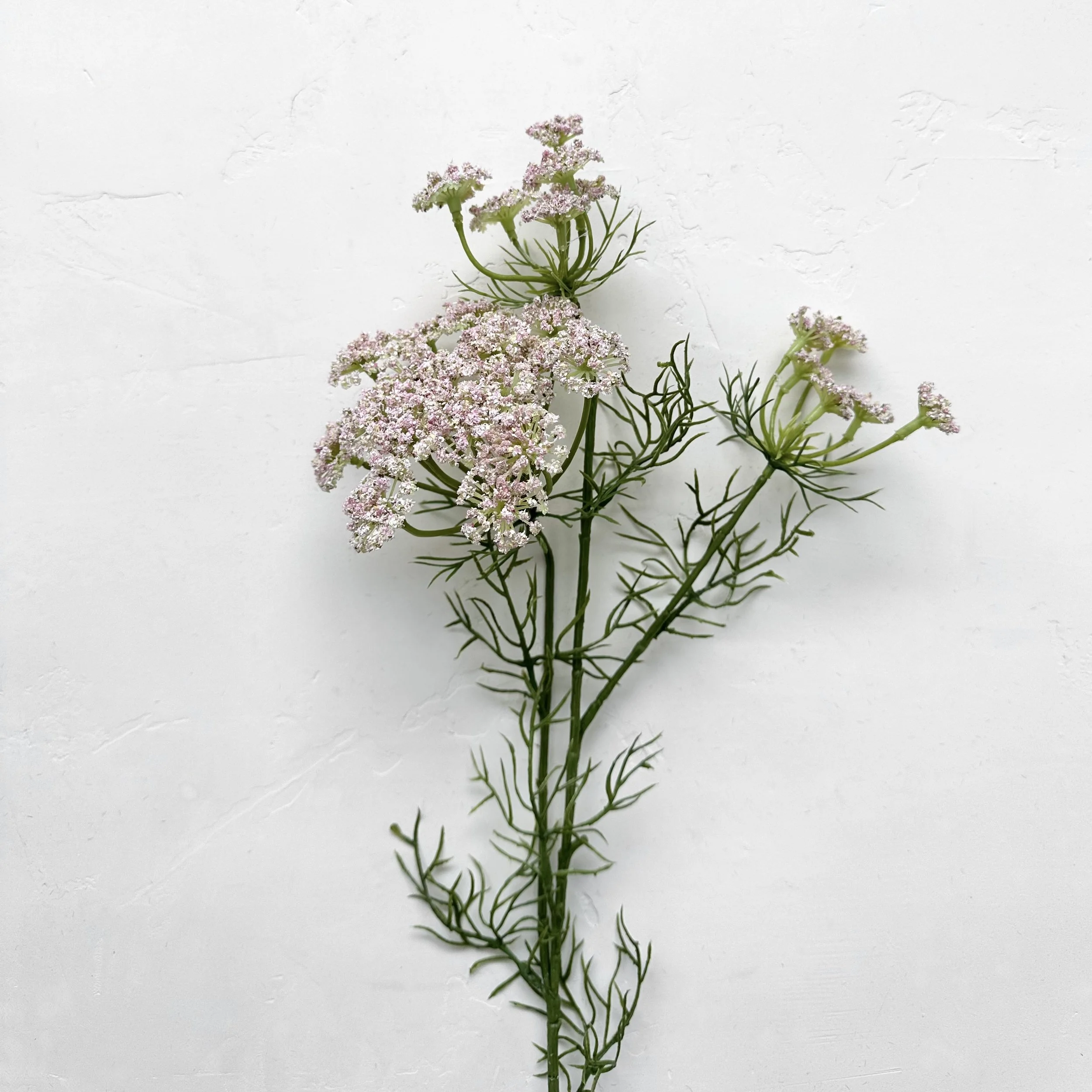 Dill Weed Flowers | Faux