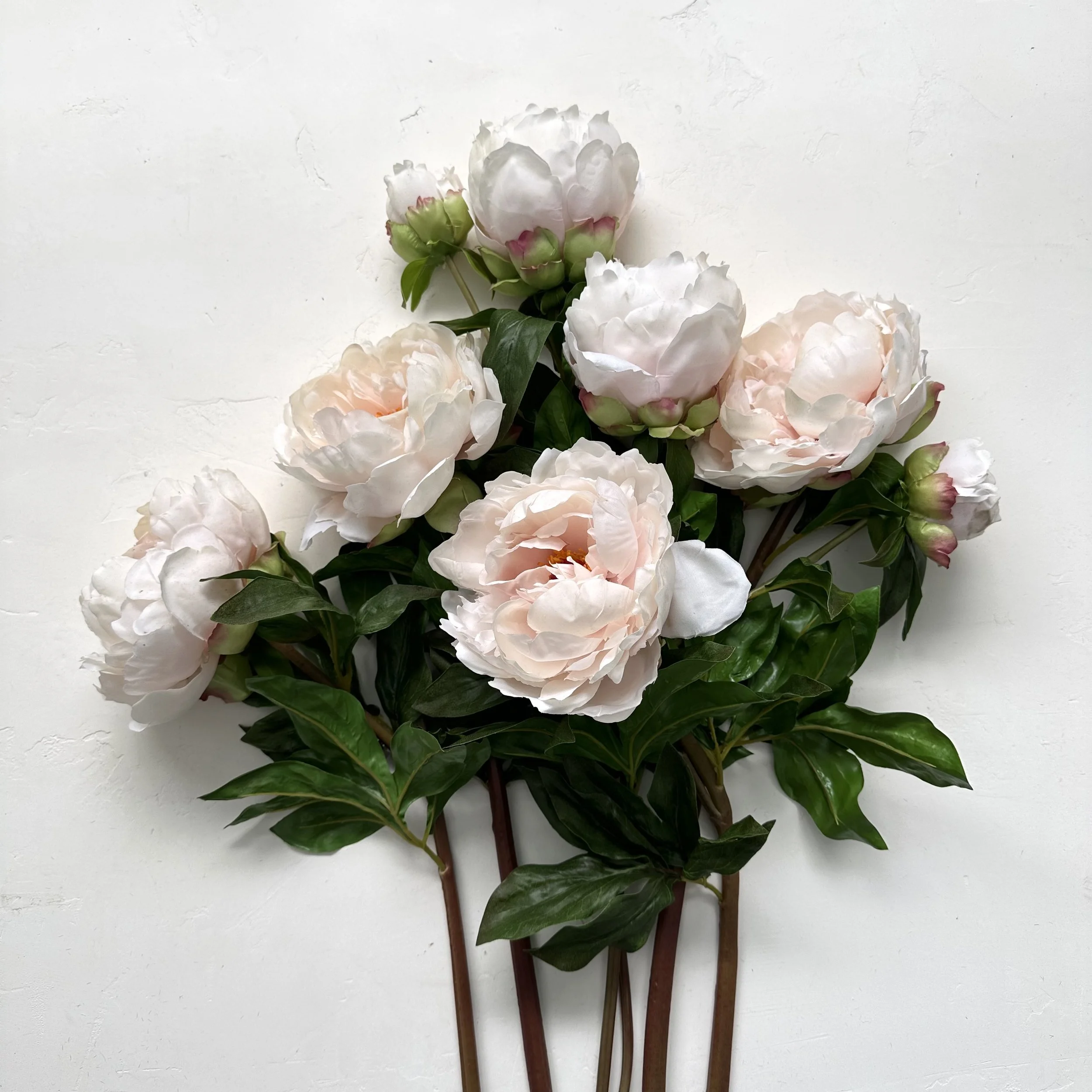 Peonies  - Pink | Faux