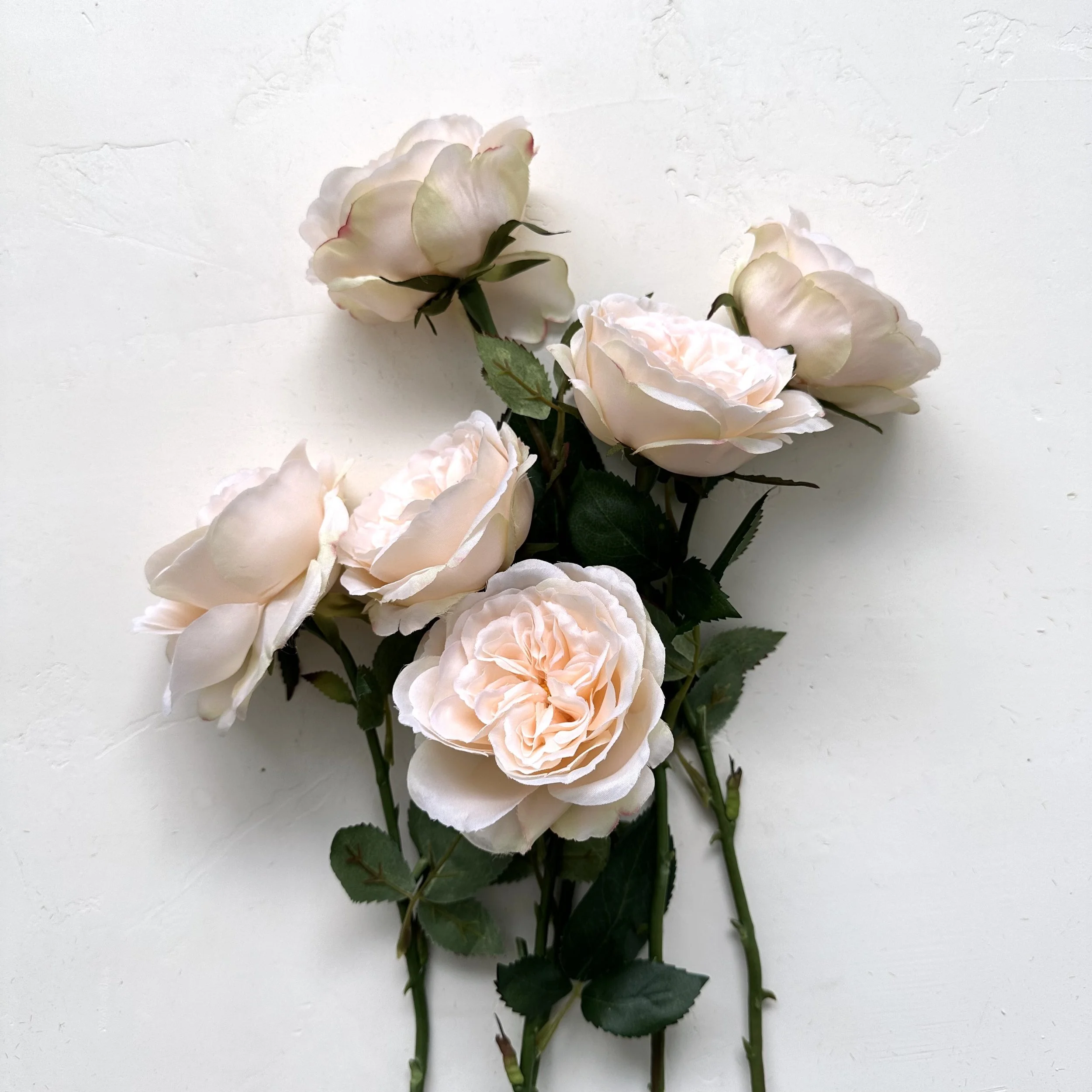 Roses Heirloom Cabbage - Peach | Faux