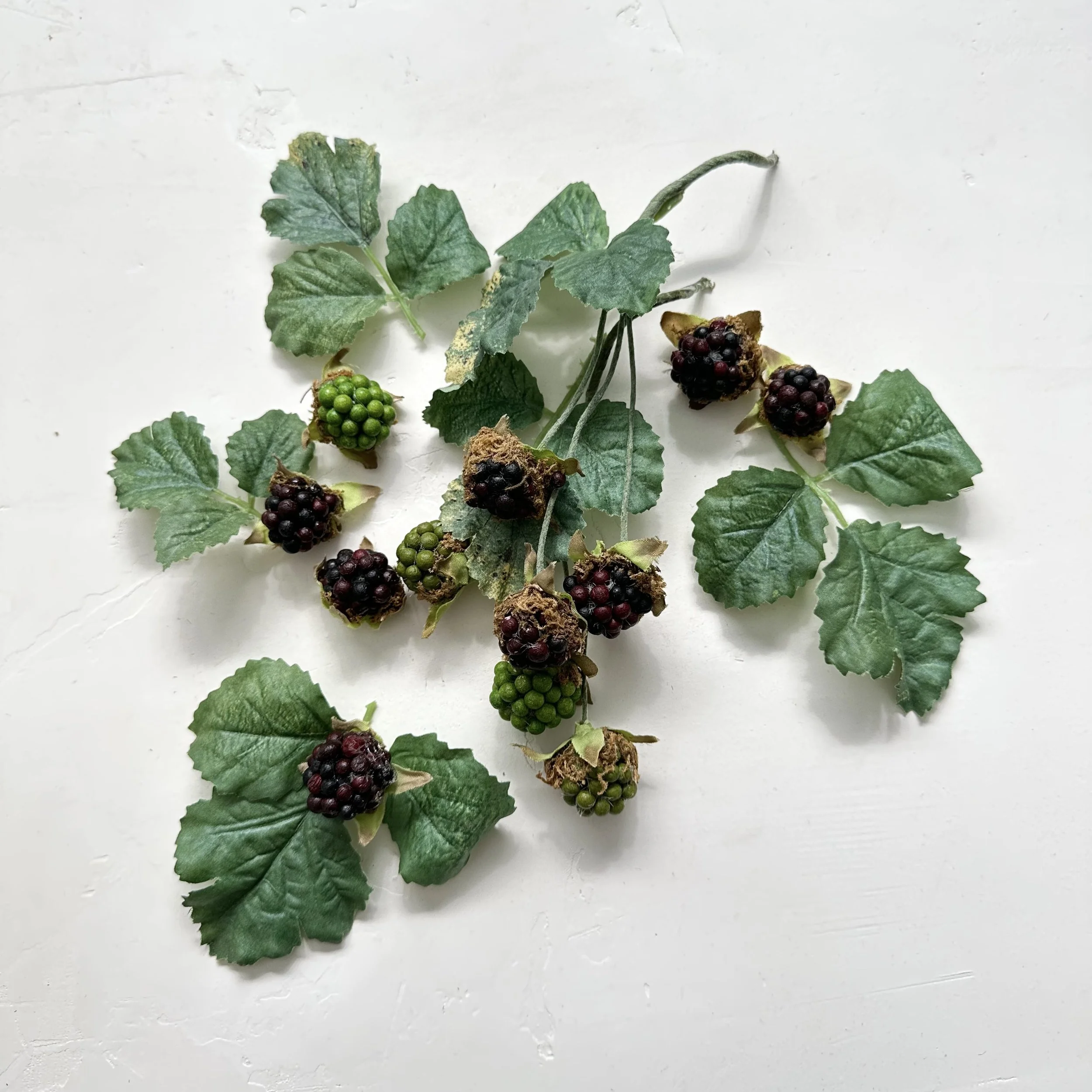 Blackberries | Faux