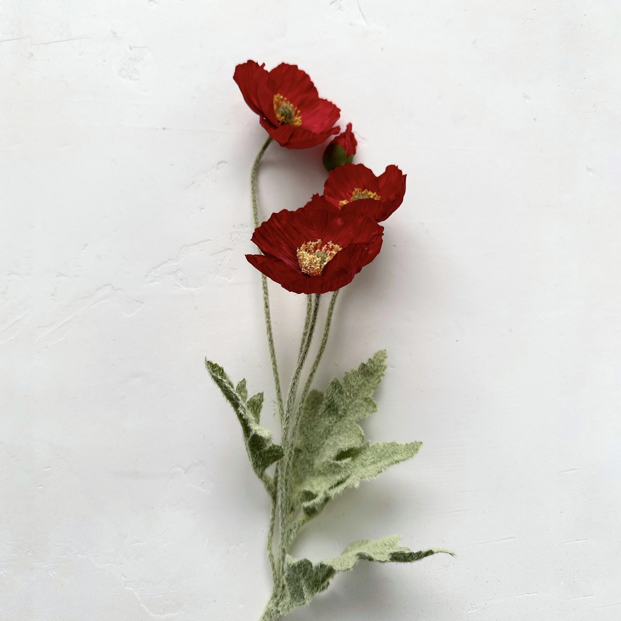 Poppies - Red | Faux