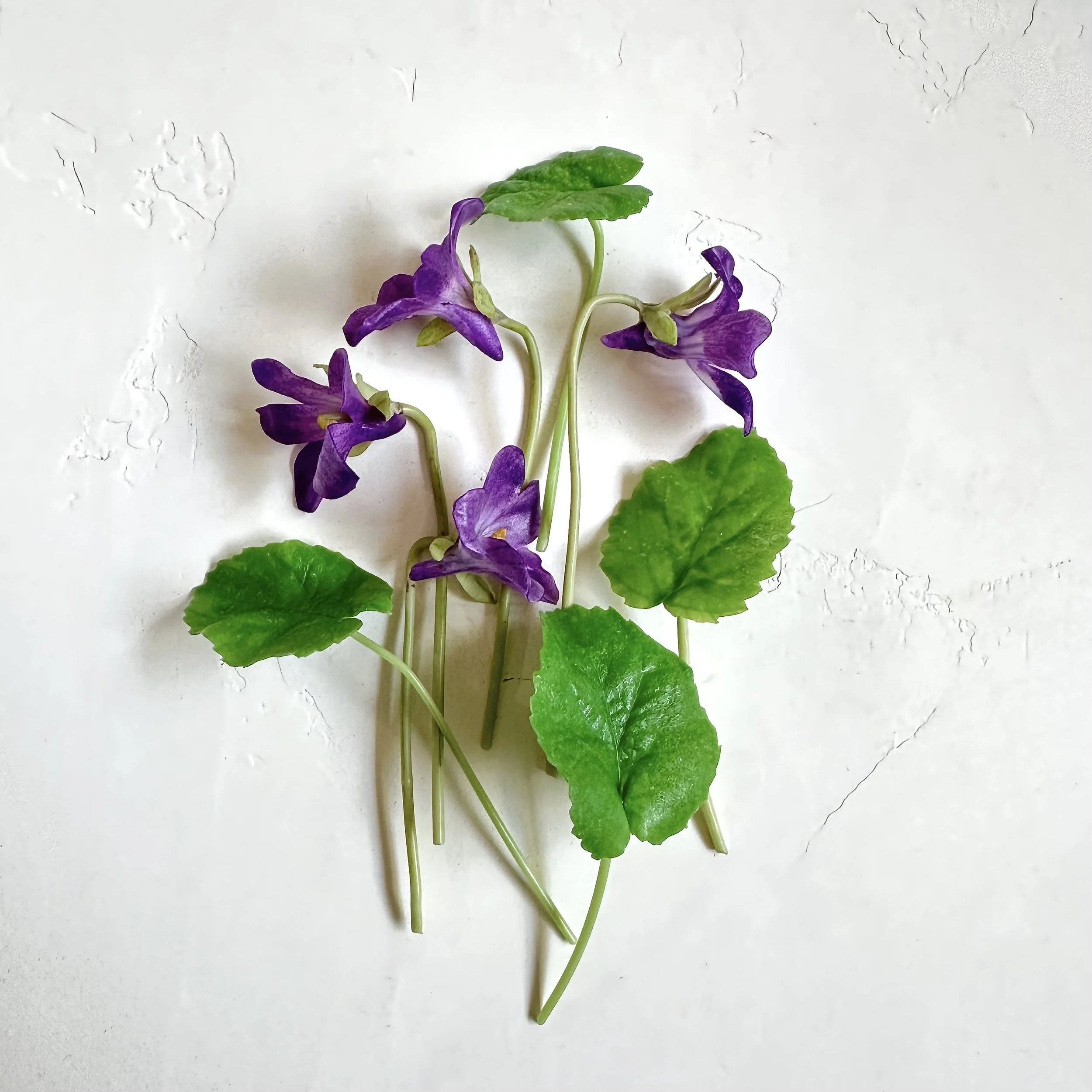 Violet Flowers  + Leaves | Faux