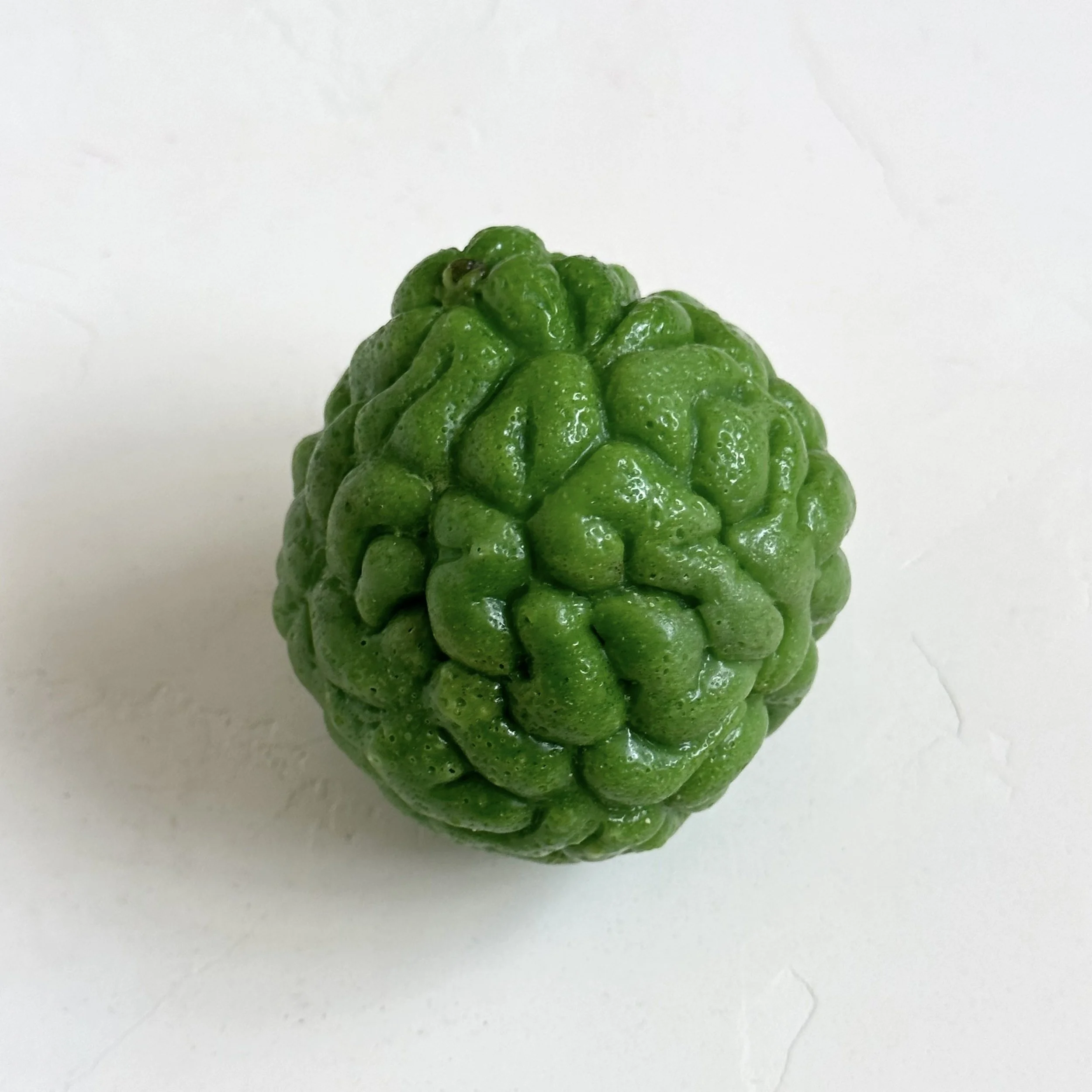 Bergamot - Whole | Faux