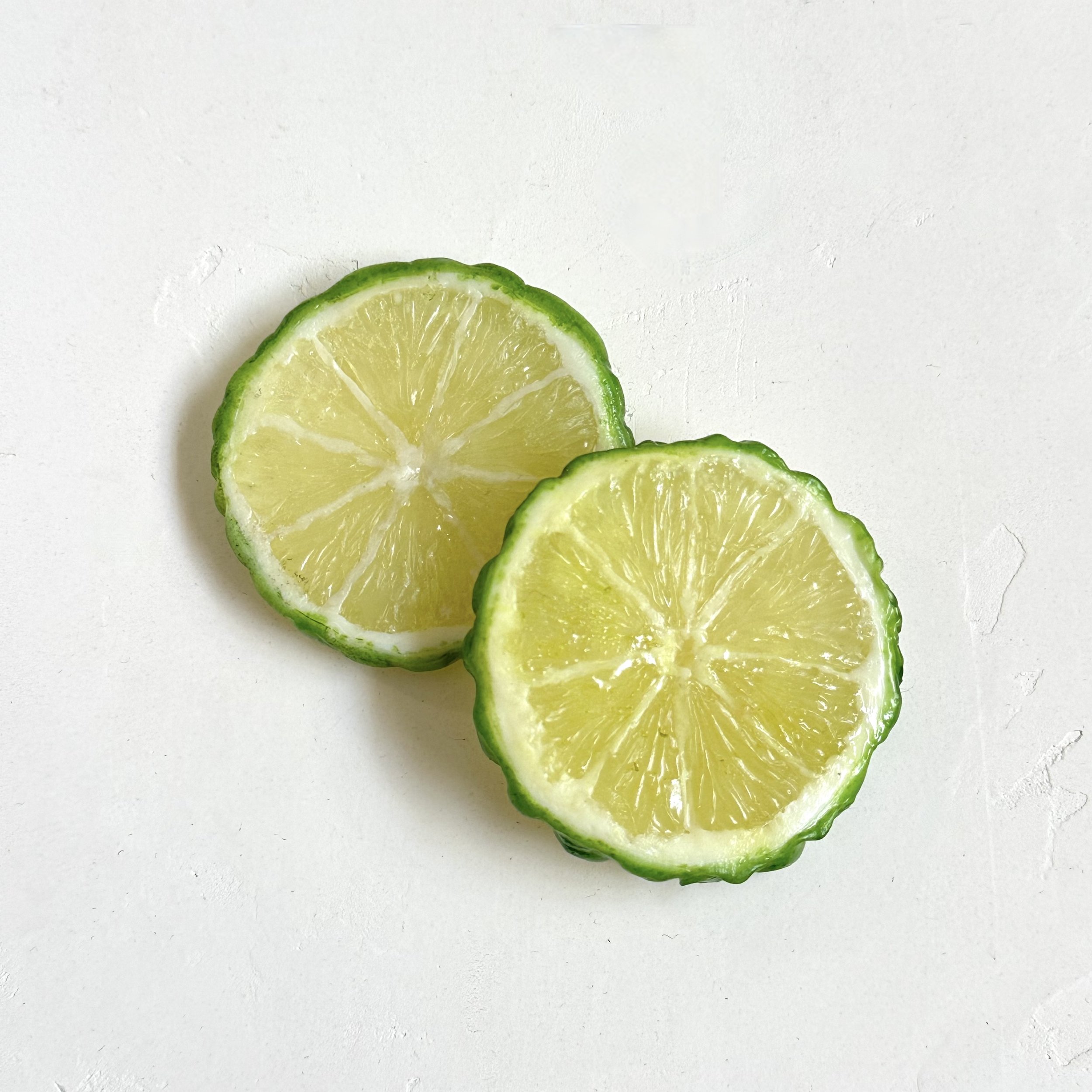 Bergamot Slices | Faux