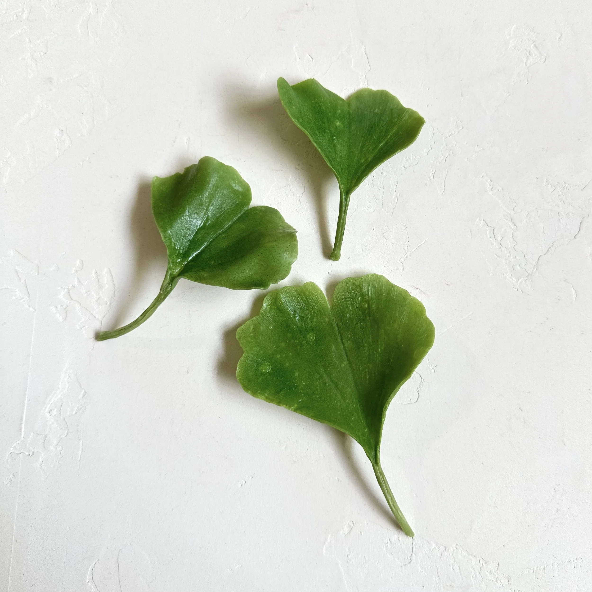 Gingko Leaves | Faux
