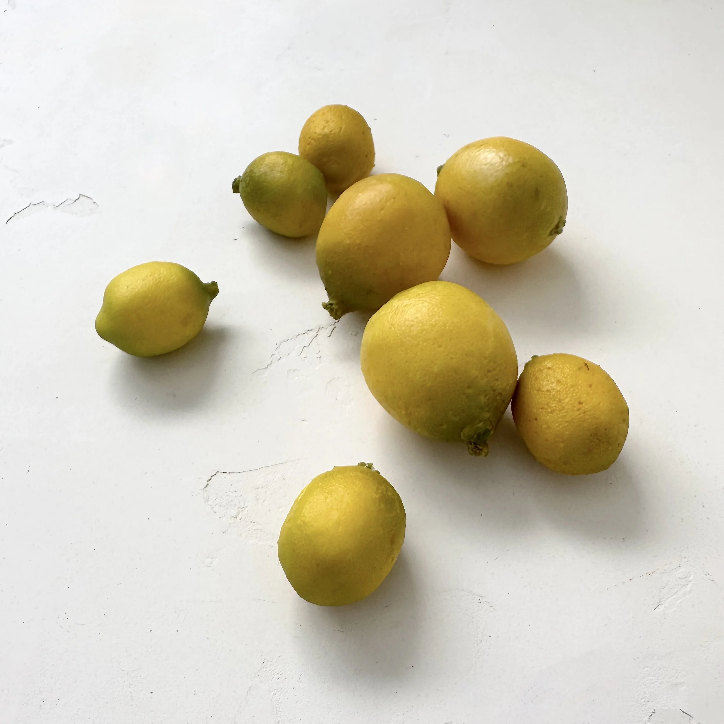 Lemons - Small | Faux