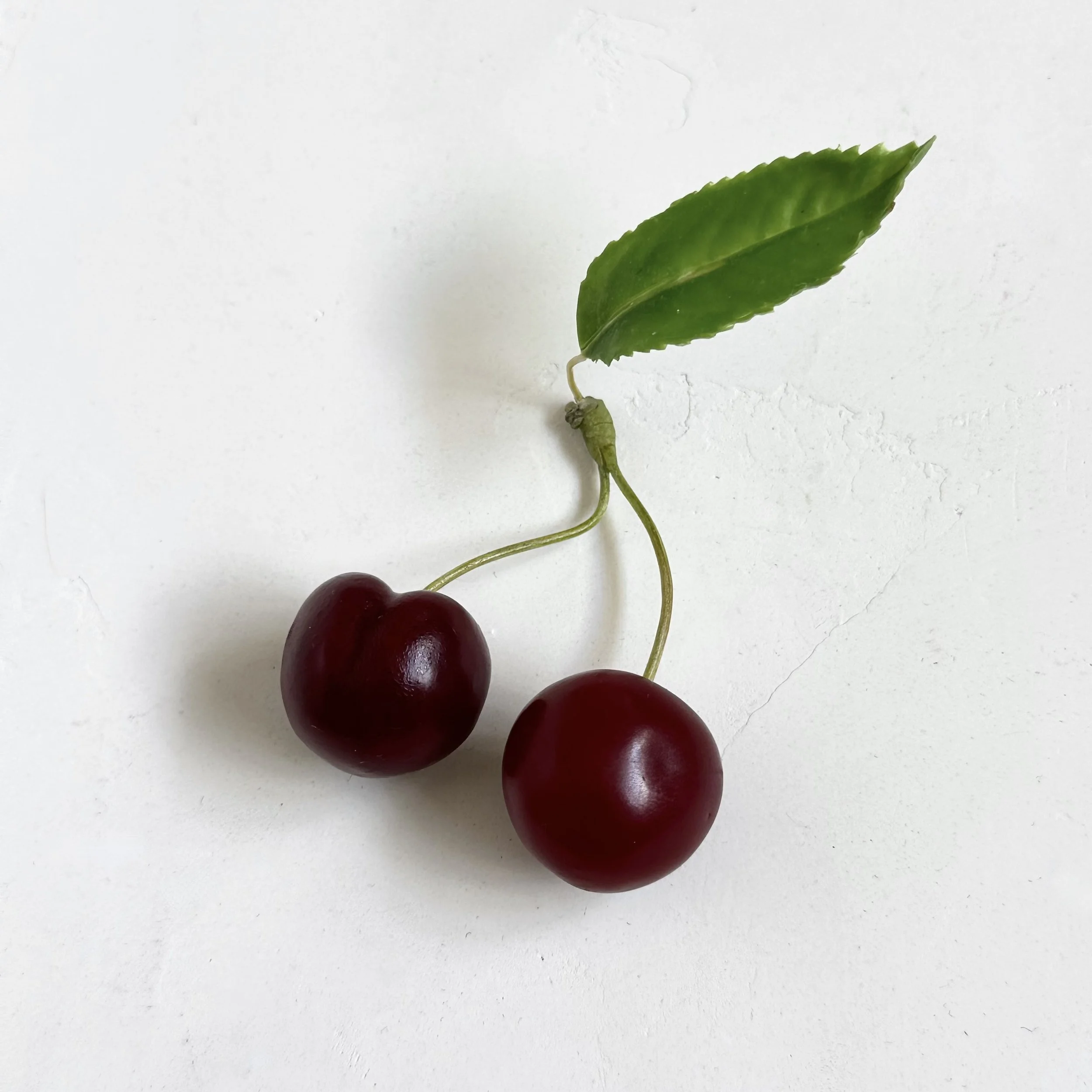 Cherries with Leaf | Faux