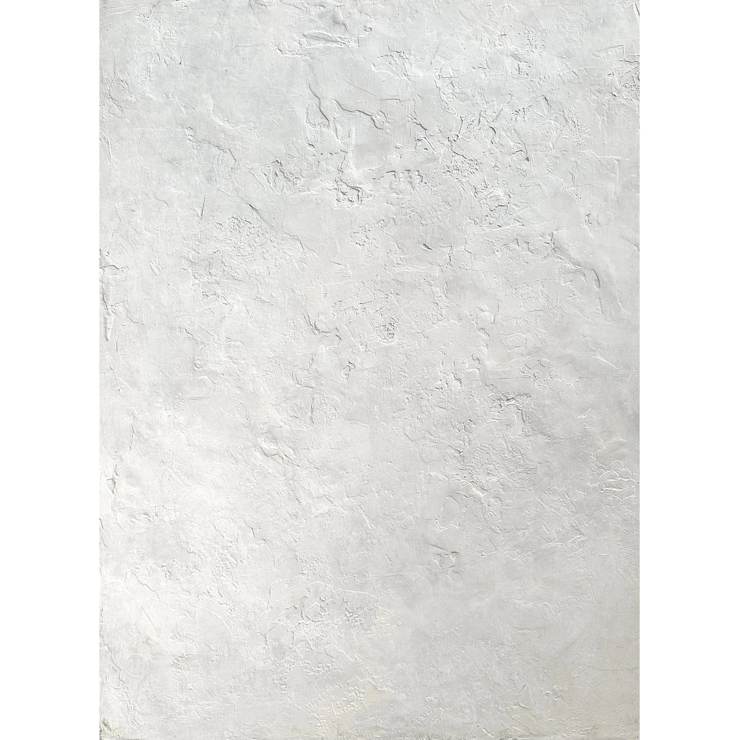 Plaster 17.JPG